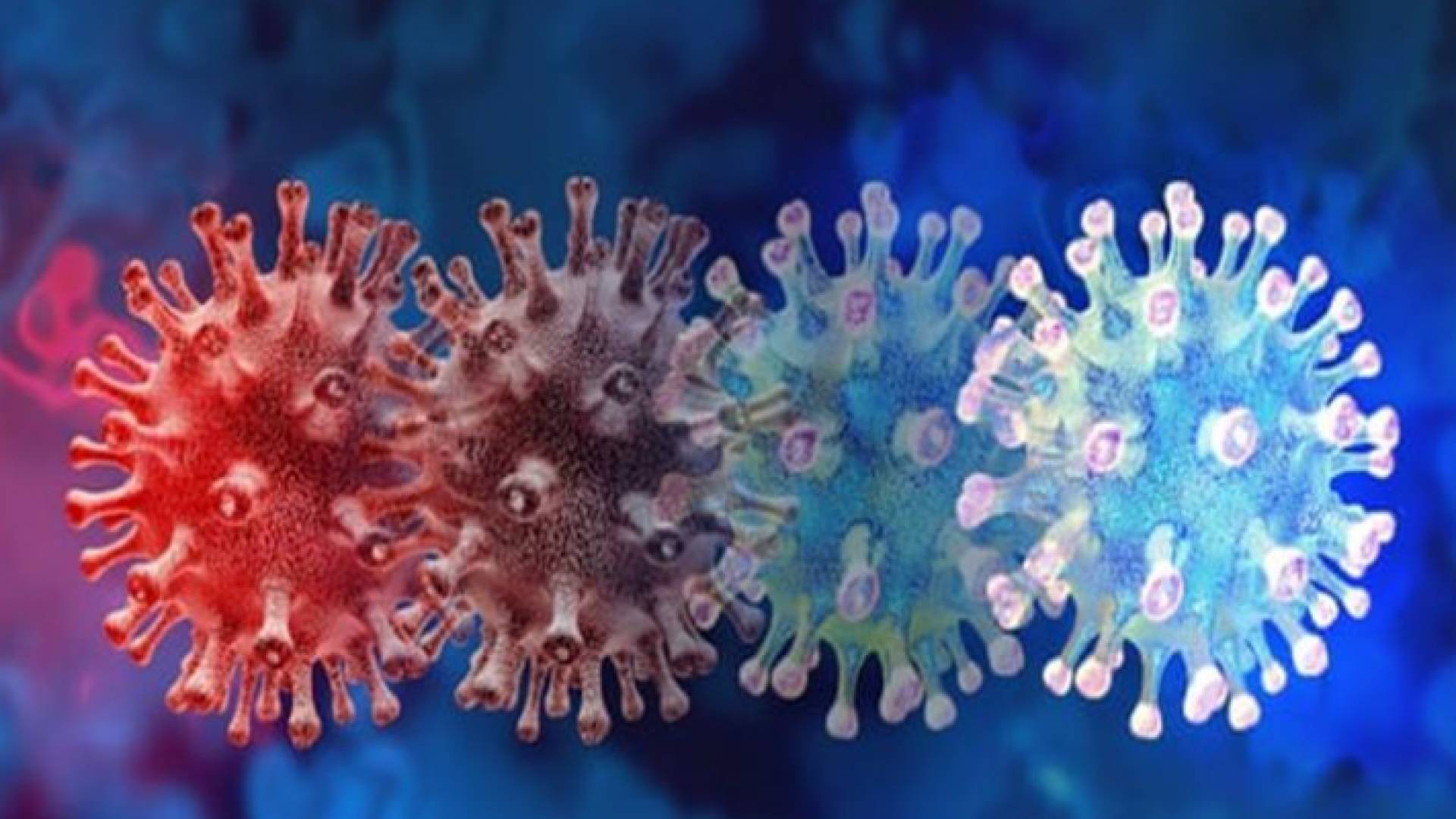 مقطع توضيحي لفيروس كورونا