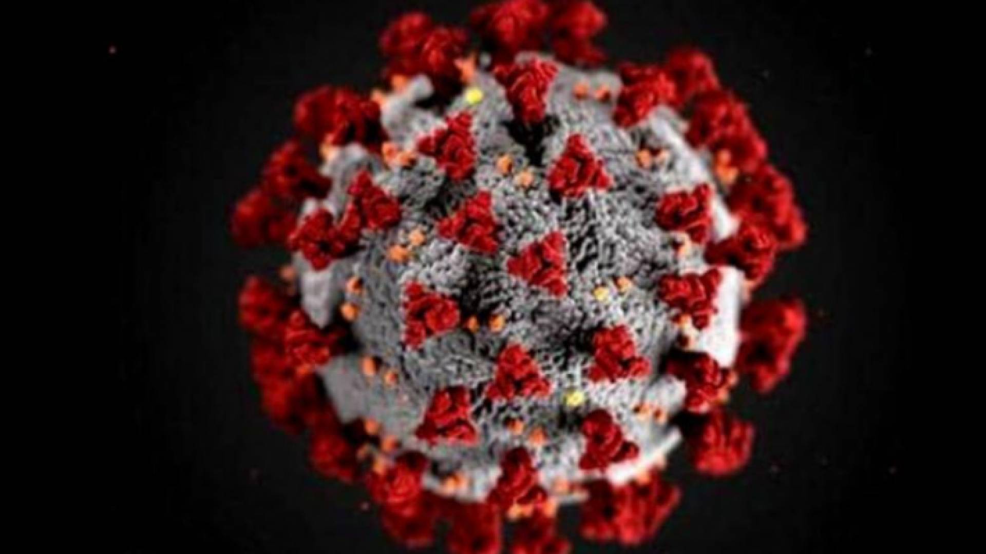 مقطع توضيحي لفيروس كورونا