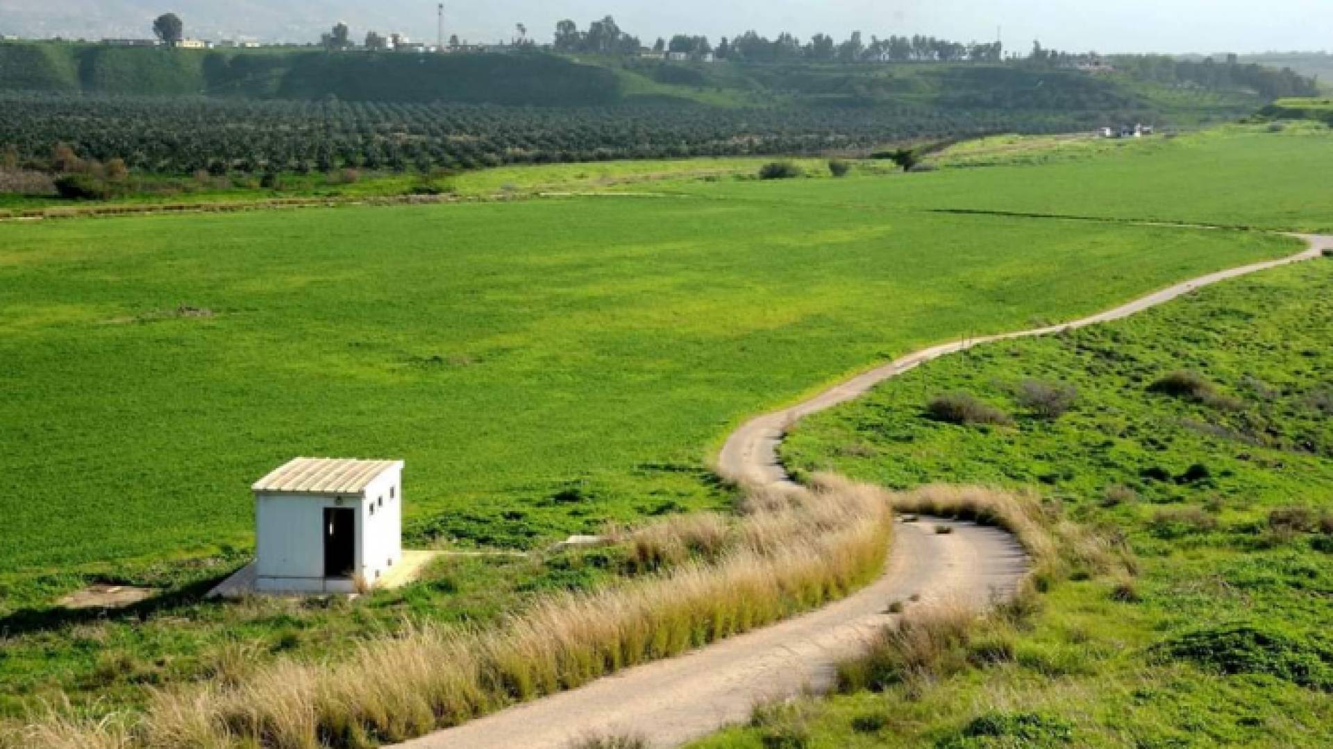 الربيع في الأغوار الشمالية - أرشيفية للمصور أحمد ذيابات