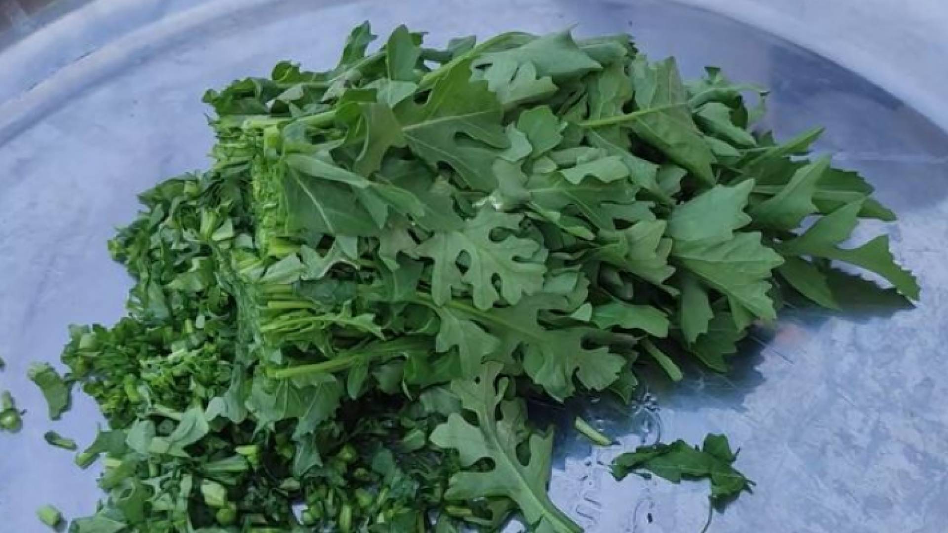 الخبيزة والحويرنة.. هبة الأغوار لأطباق شهية ذات قيمة غذائية