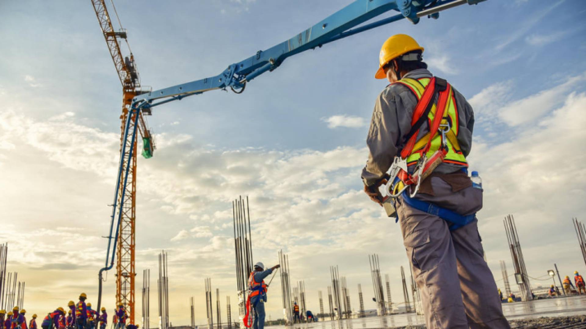 توسع في تطبيق تخصصات وبرامج تدريب مهنية