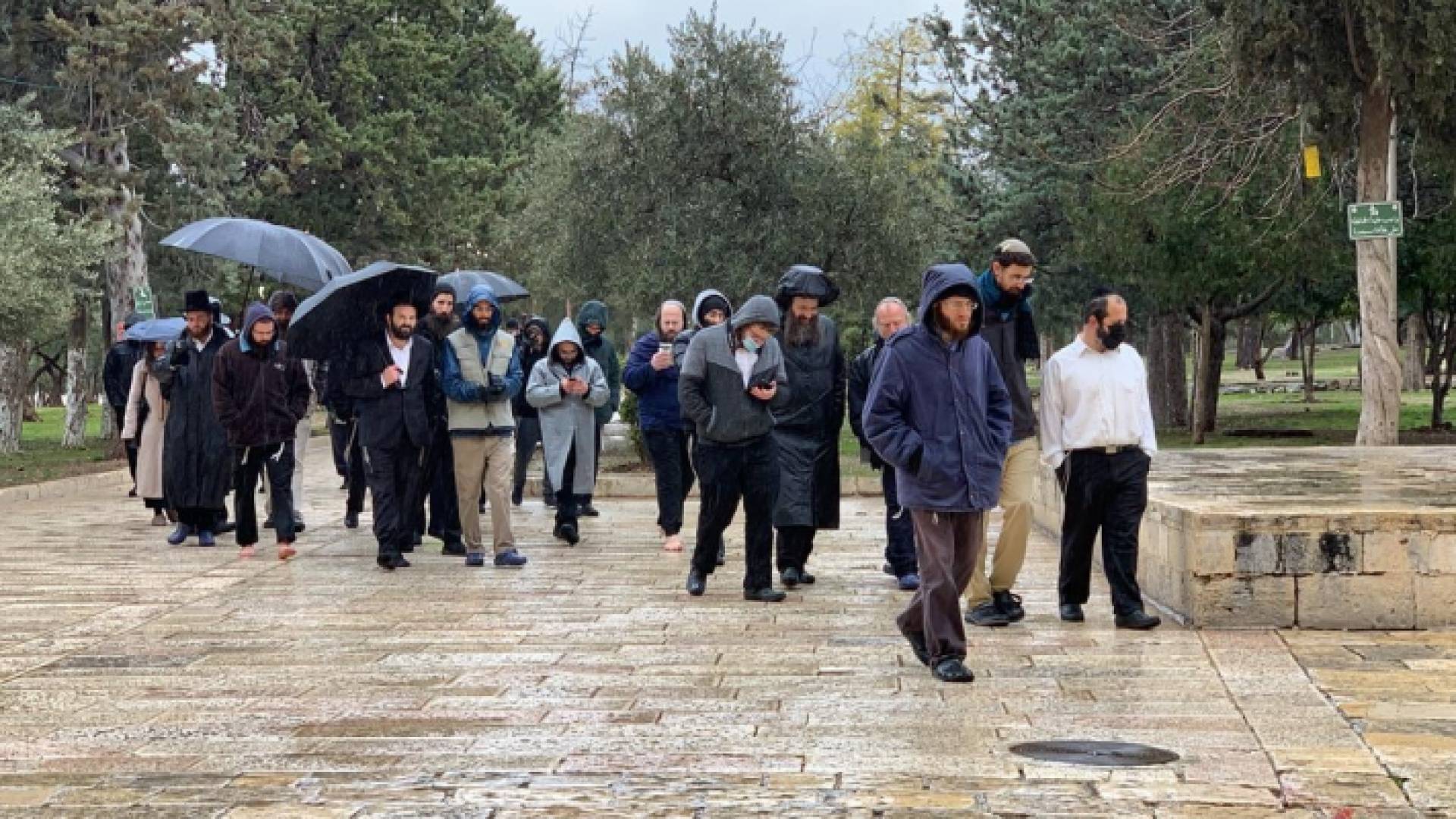 مستوطنون يقتحمون "الأقصى"