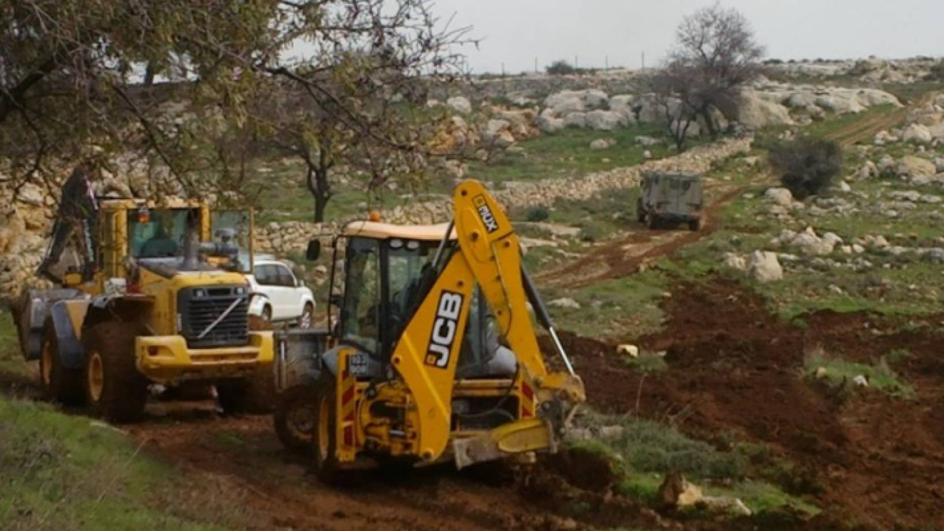 مستوطنون يجرفون أراض زراعية