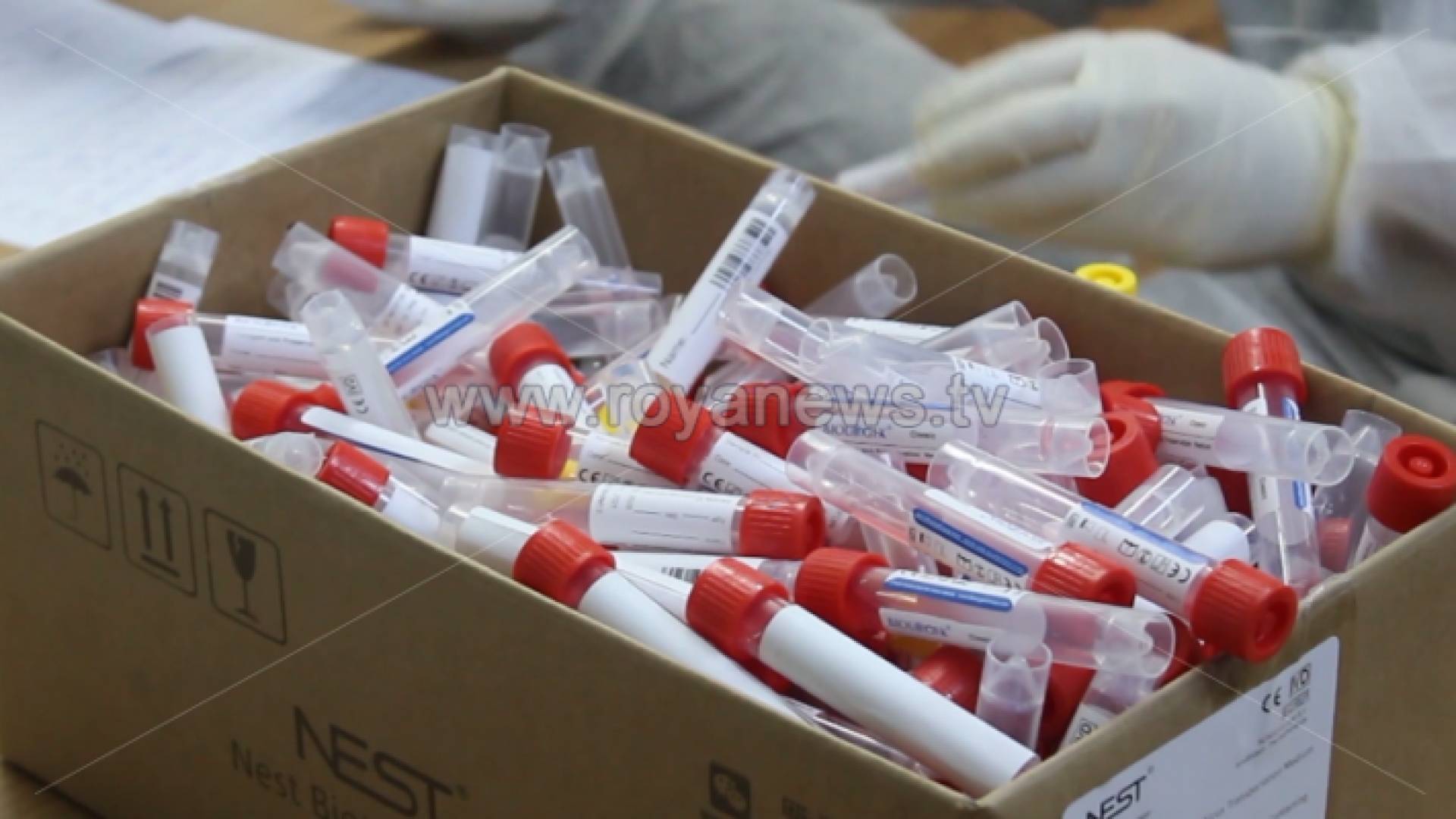 فحوصات كورونا - ارشيفية