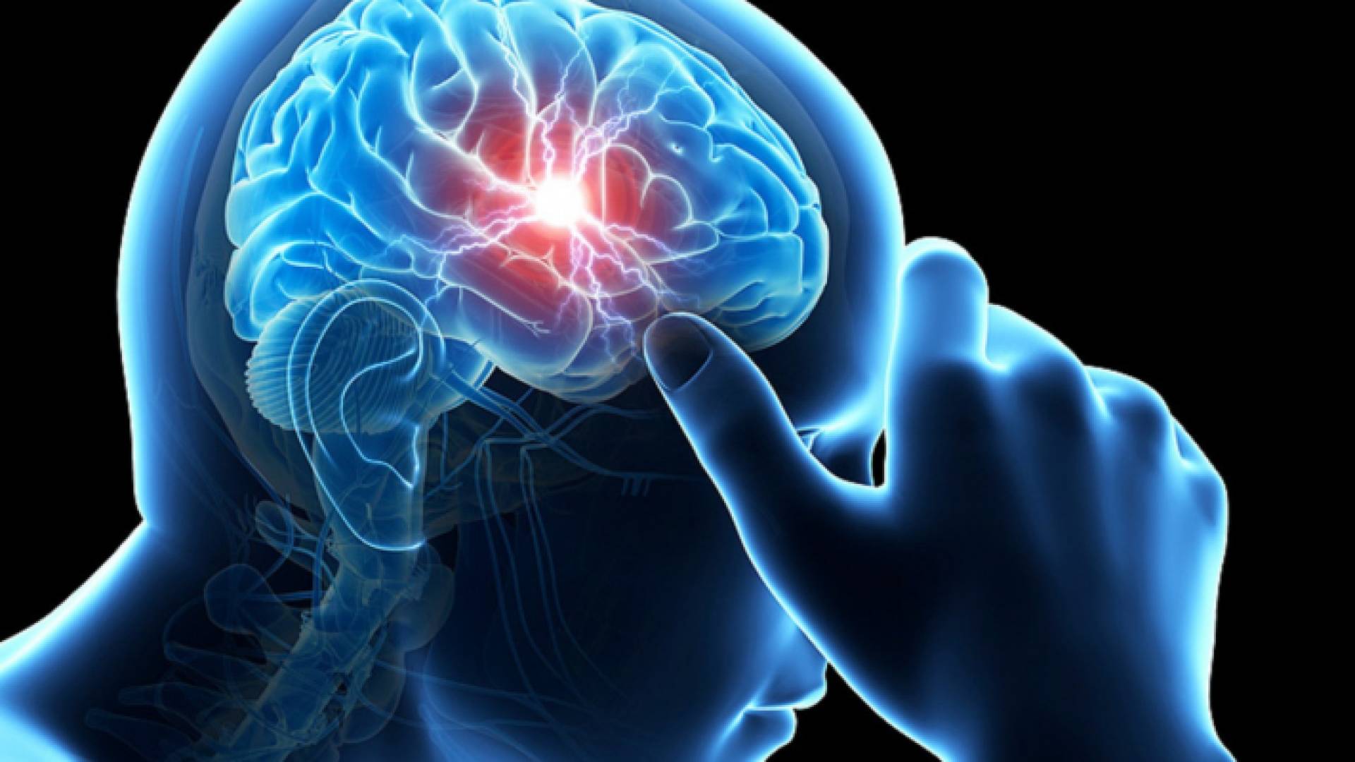 رسم جرافيك لشكل دماغ الإنسان