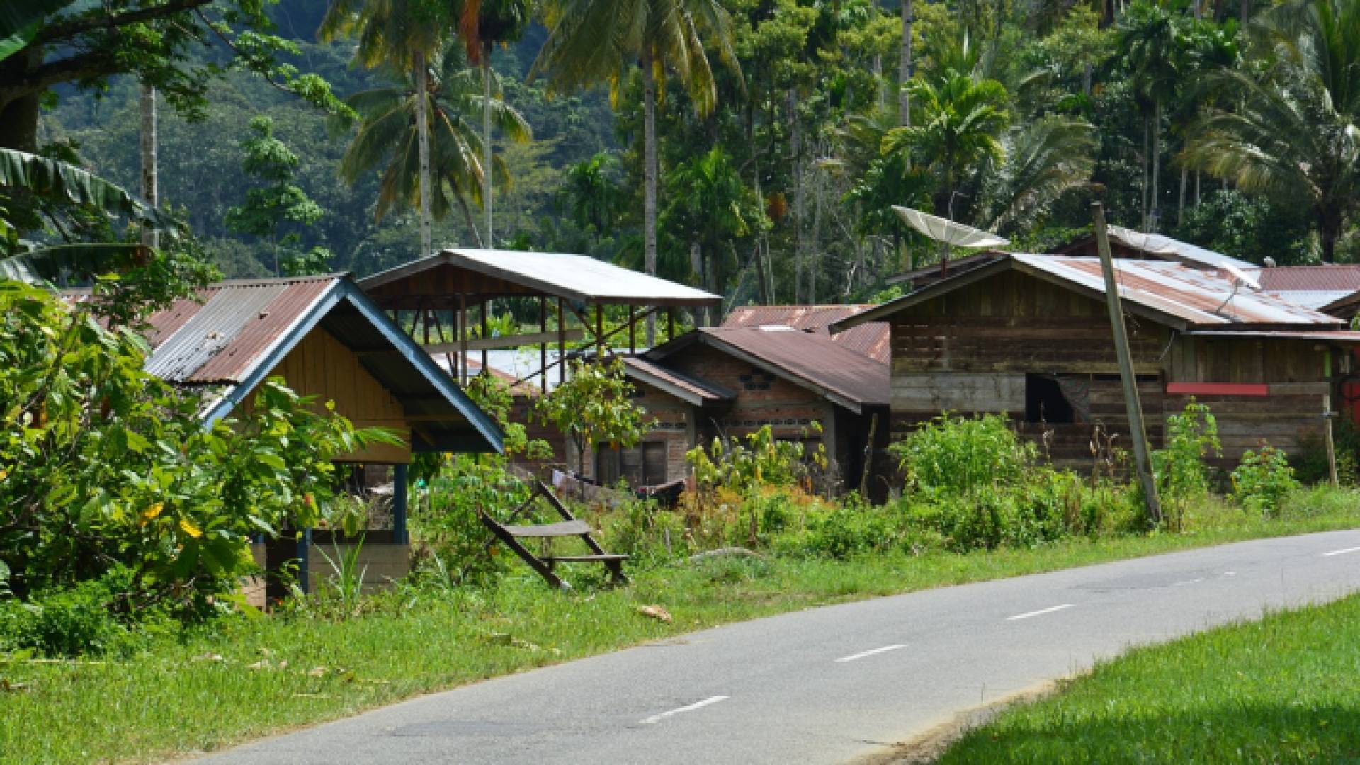 جزيرة سومطرة