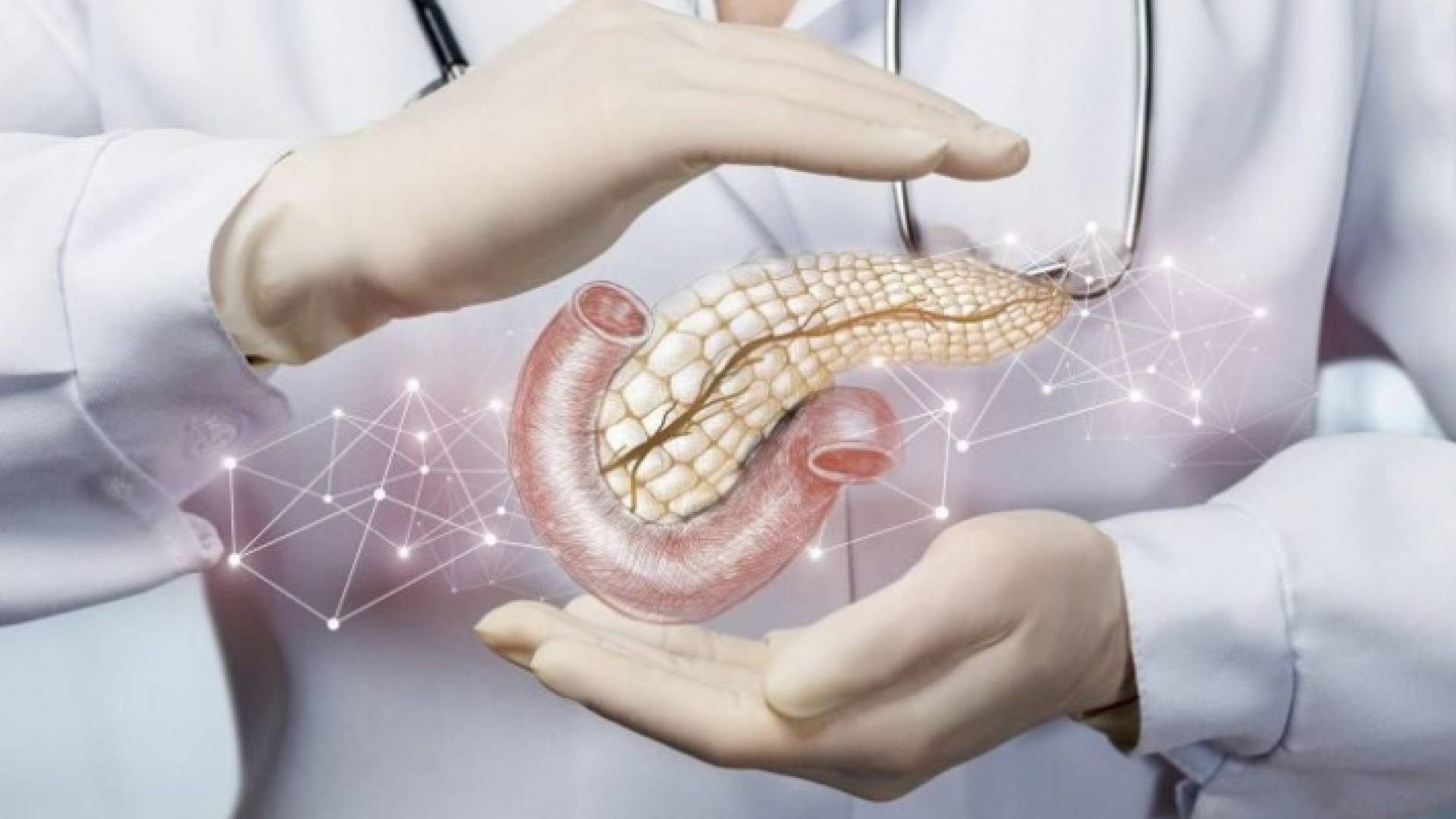 فلسطينية تحصل على براءة اختراع لعلاج سرطان البنكرياس في إسبانيا