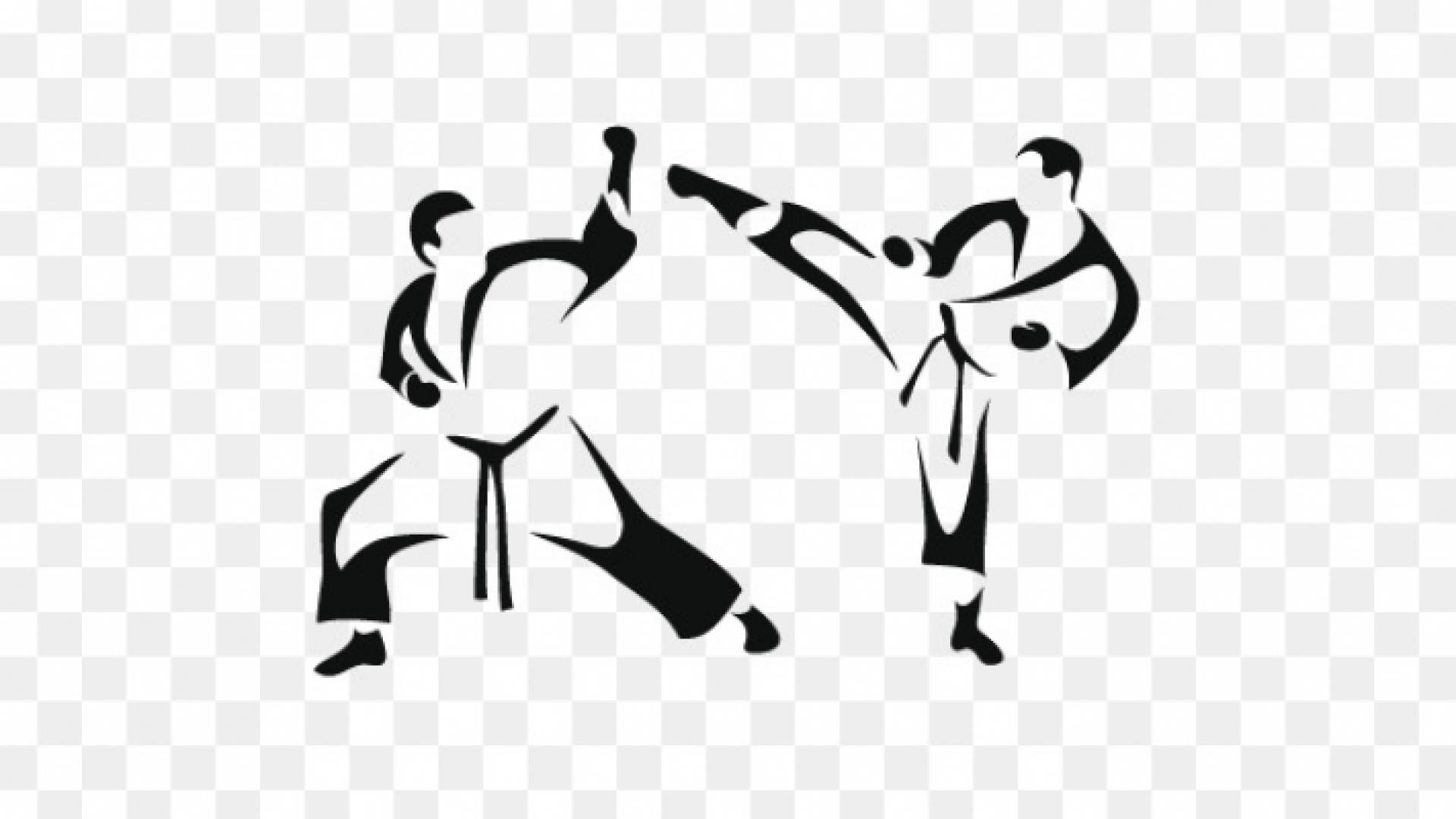 التايكواندو