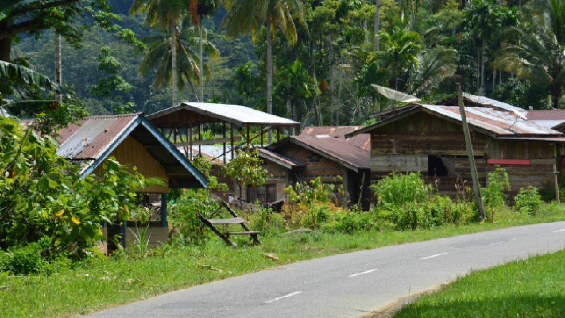 جزيرة سومطرة