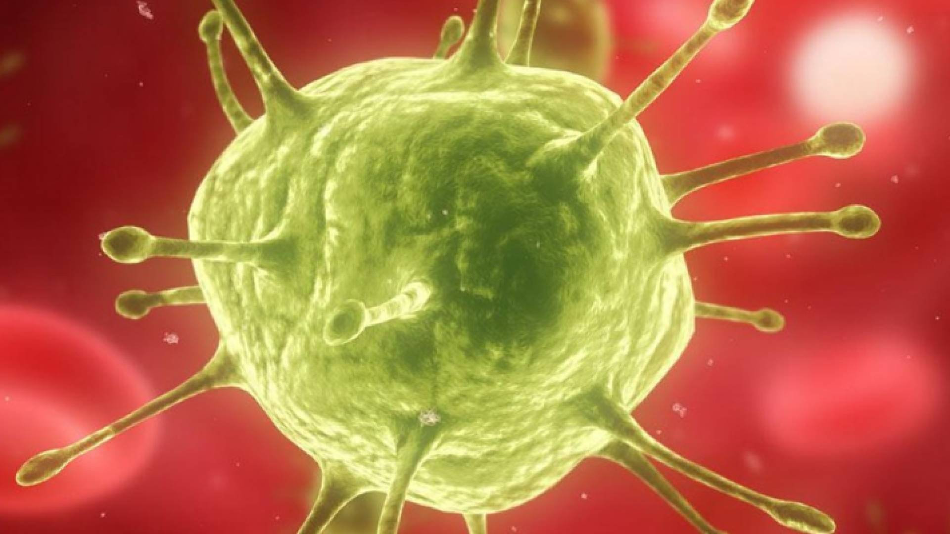 الخريطة الجنية لشكل الفيروس - تعبيرية