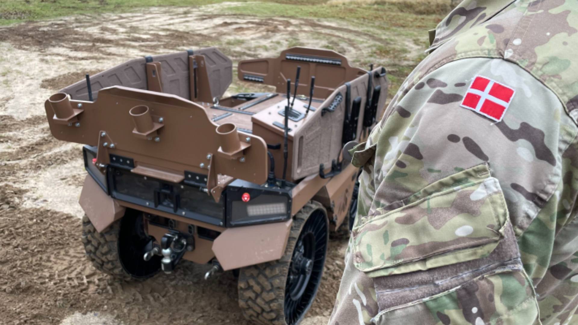 جيش الدنمارك