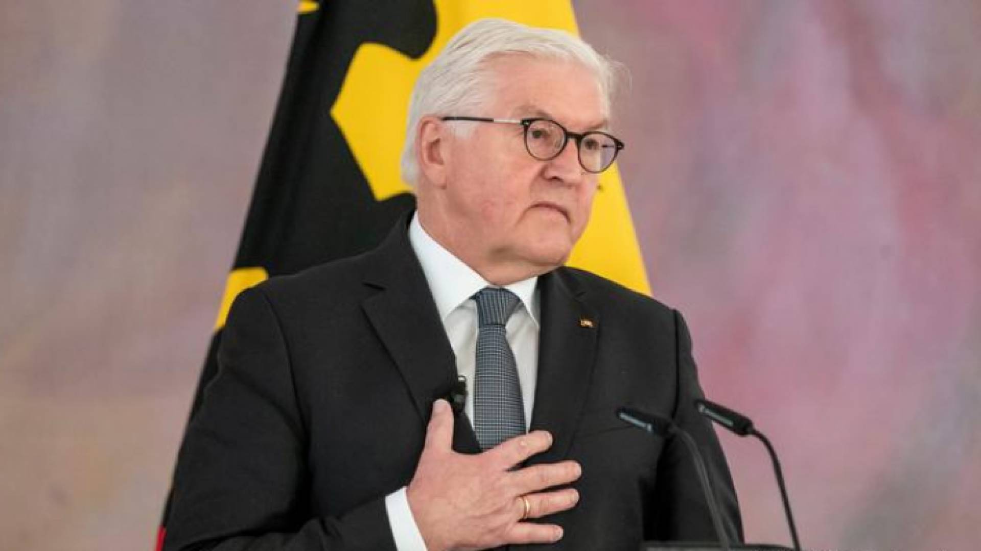 الرئيس الألماني فرانك فالتر شتاينماير