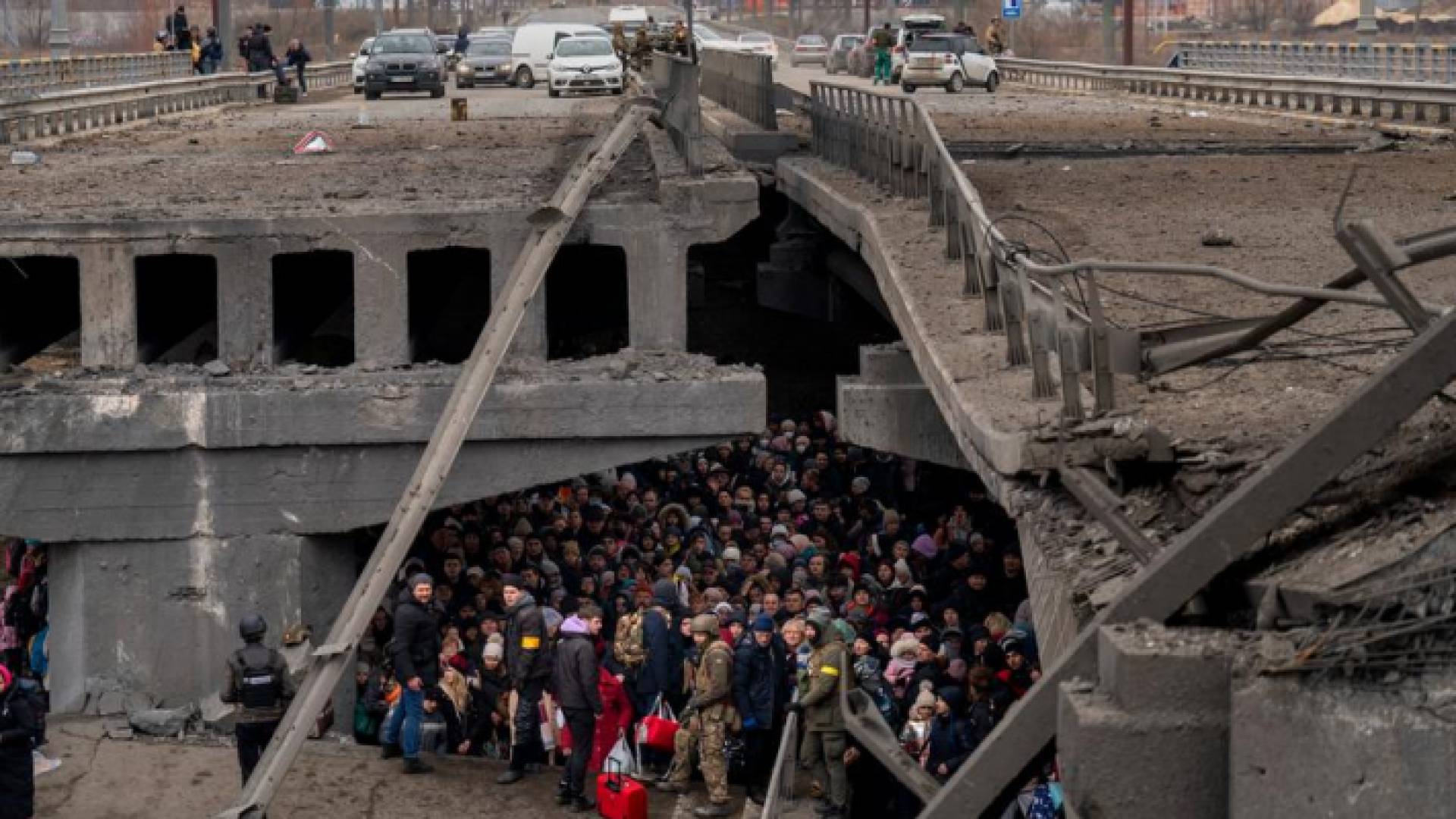 الامم المتحدة: أكثر من 1,5 مليون لاجئ خرجوا من اوكرانيا