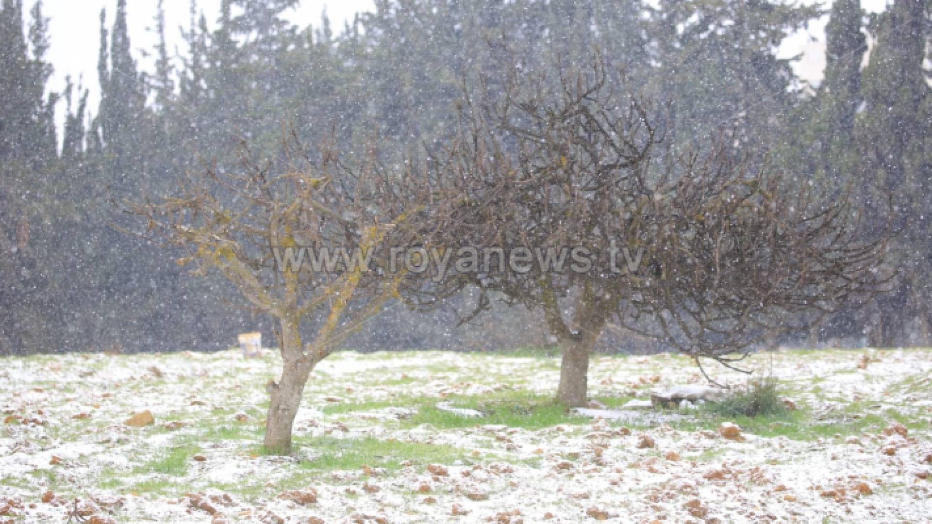 ثلوج - ارشيفية