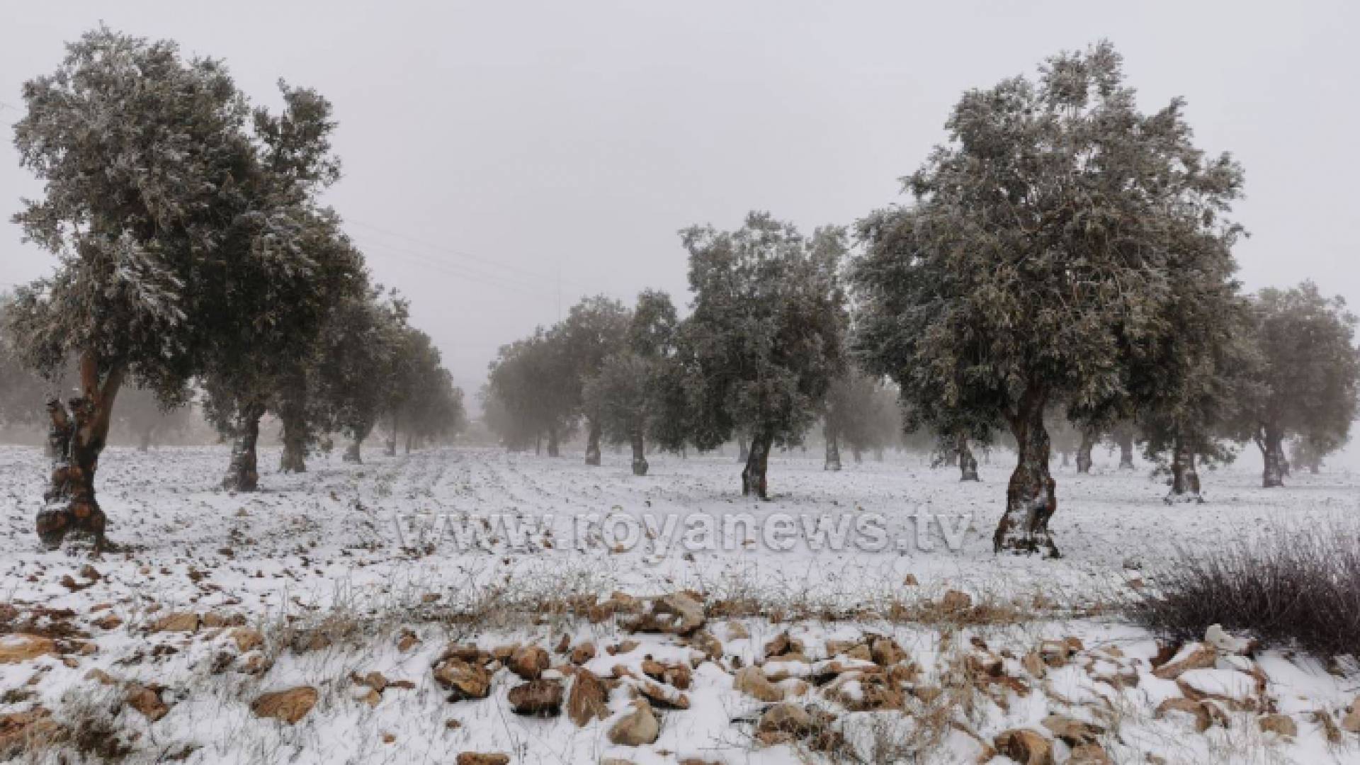 ثلوج - ارشيفية