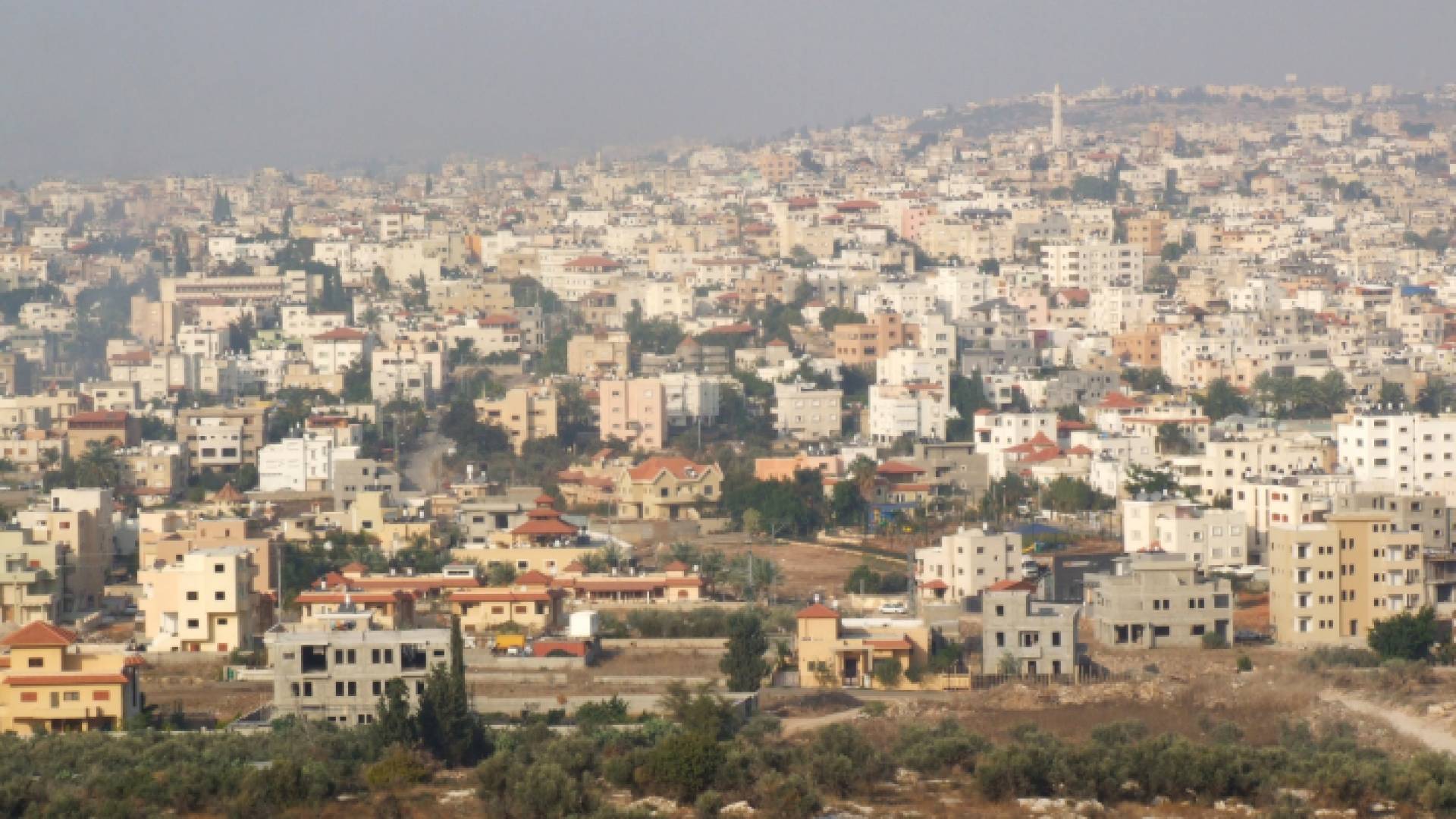 منظر عام لمدينة الطيبة