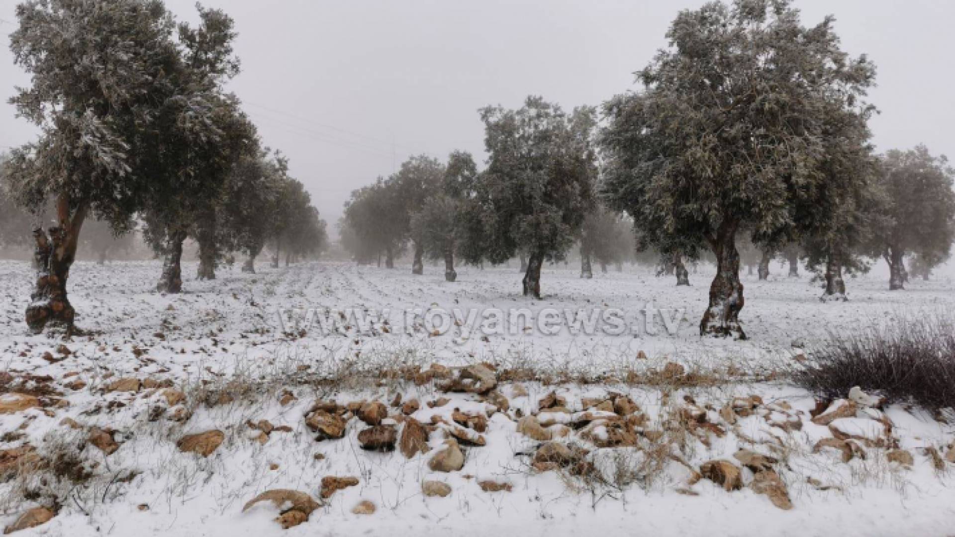 ثلوج - ارشيفية