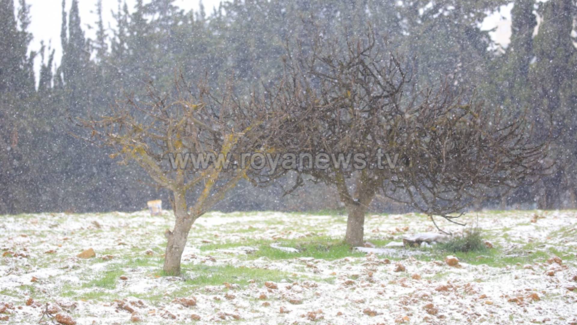 ثلوج - ارشيفية