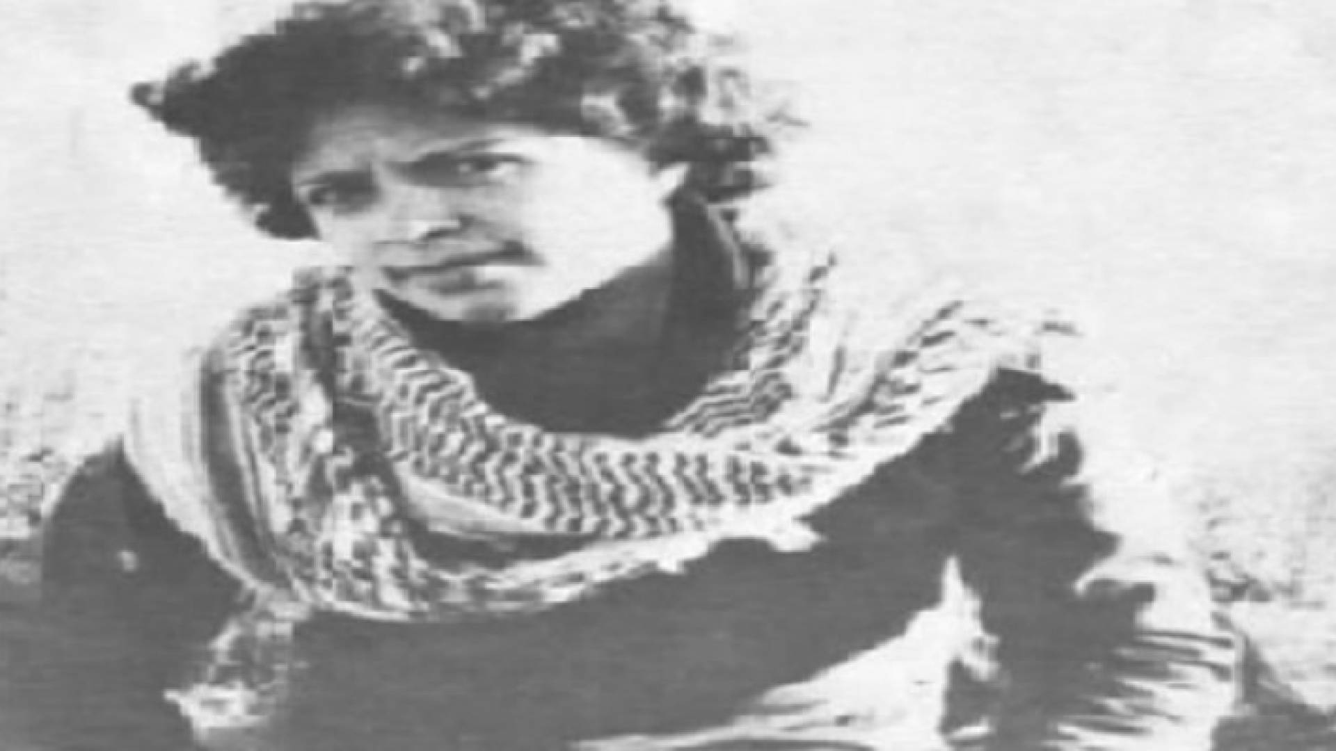 دلال المغربي