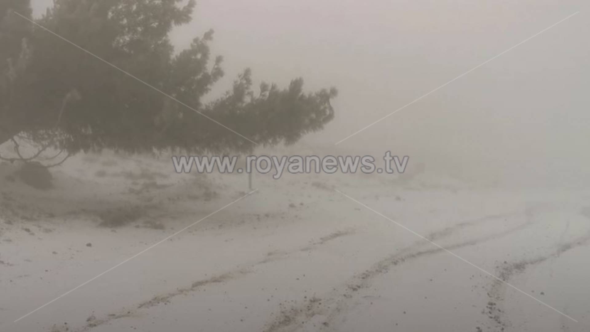 الثلوج في الرشادية صباح الثلاثاء