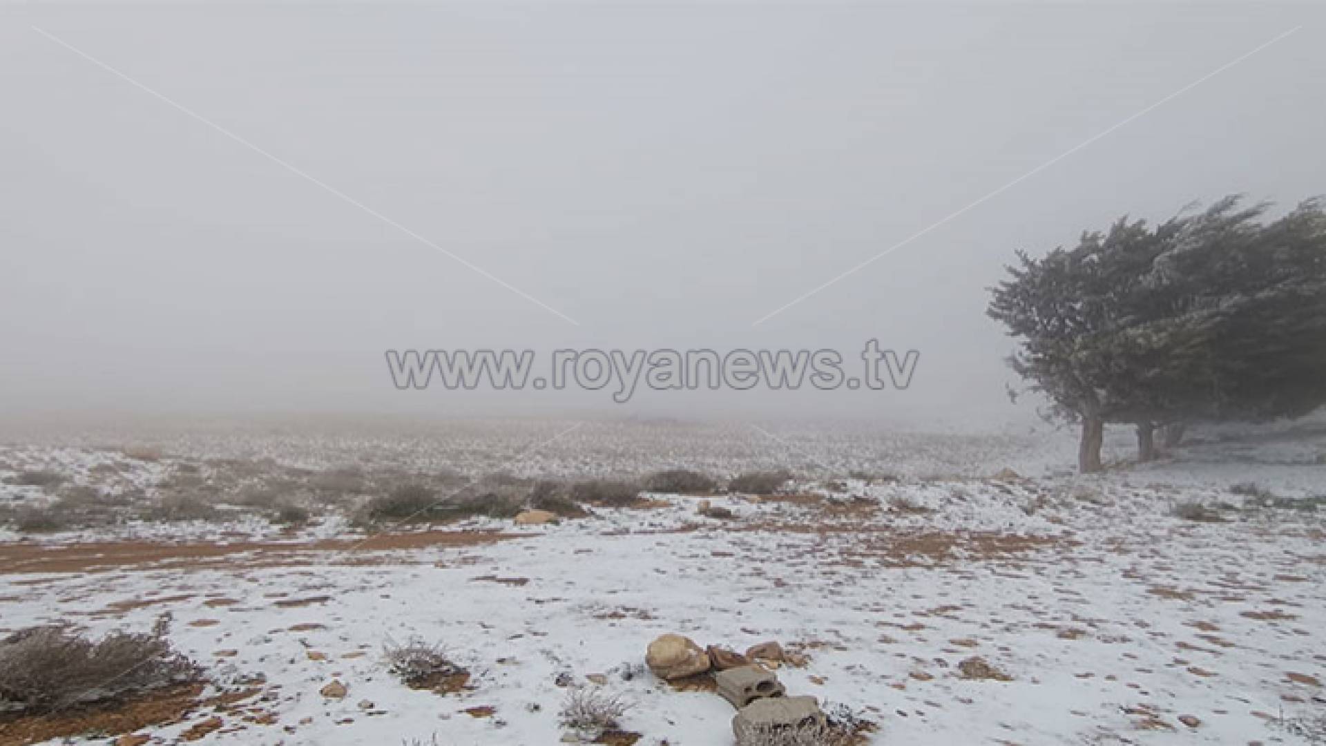 الثلوج يوم الثلاثاء 2022/3/15