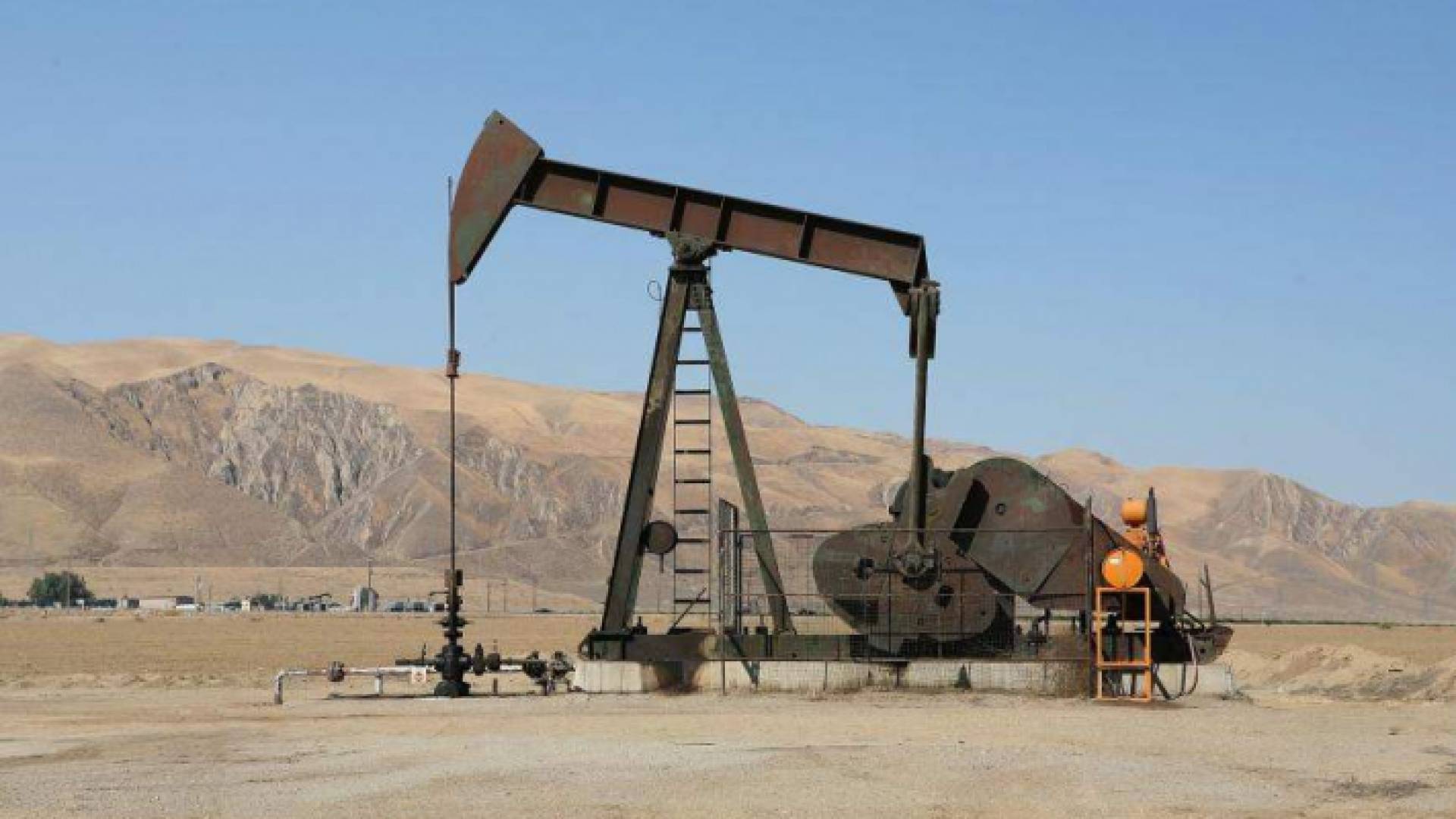 حقل السرحان