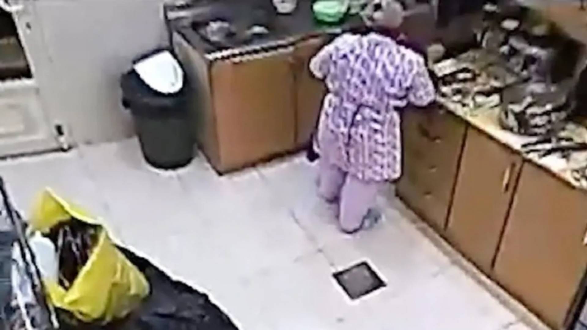 صورة الخادمة