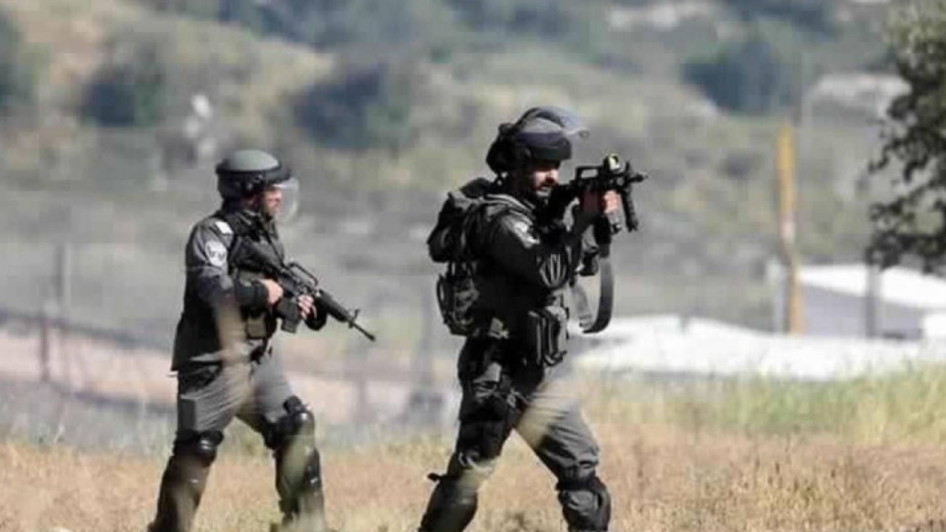 عناصر من قوات الاحتلال