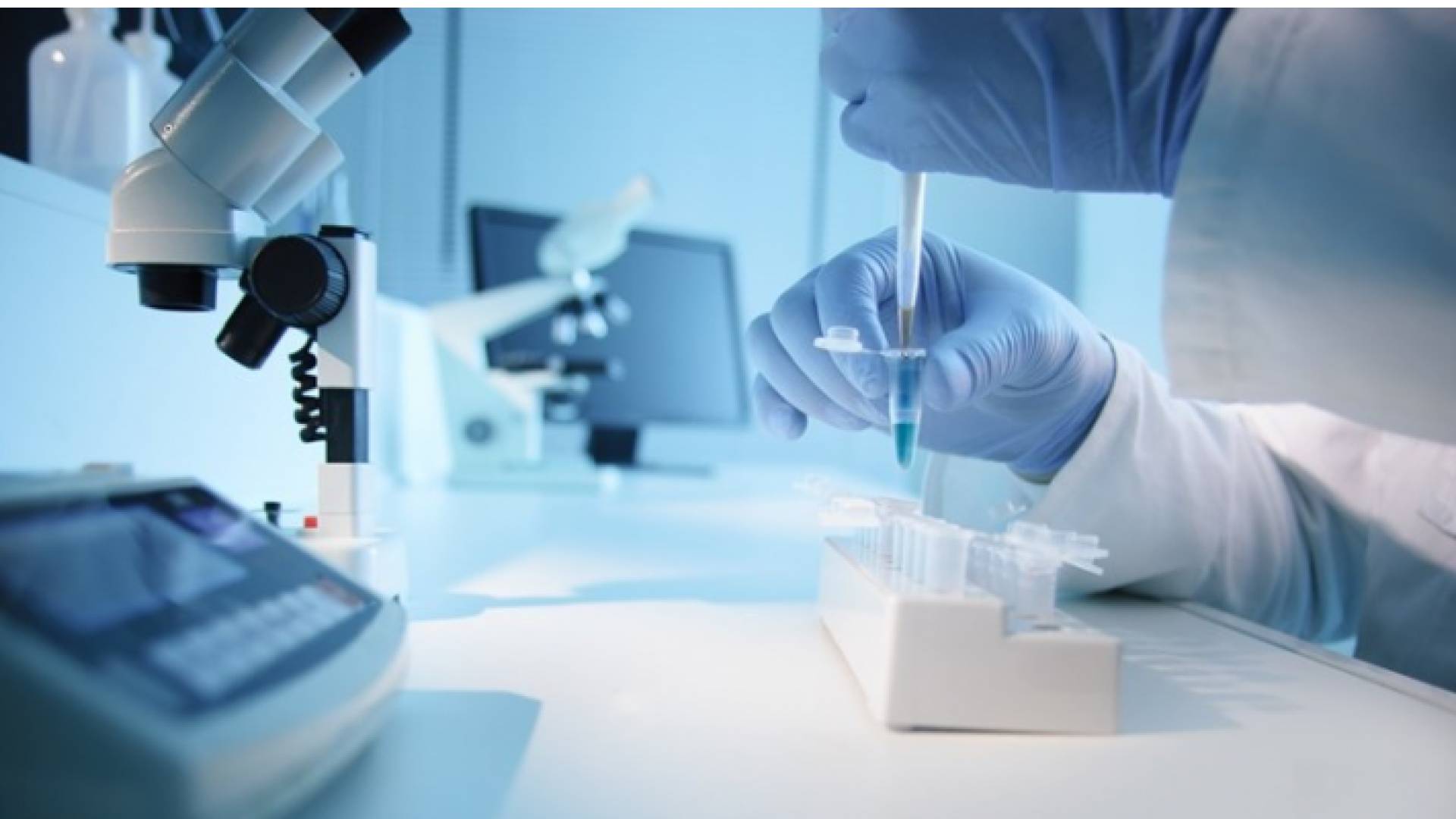 نشاط بيولوجي