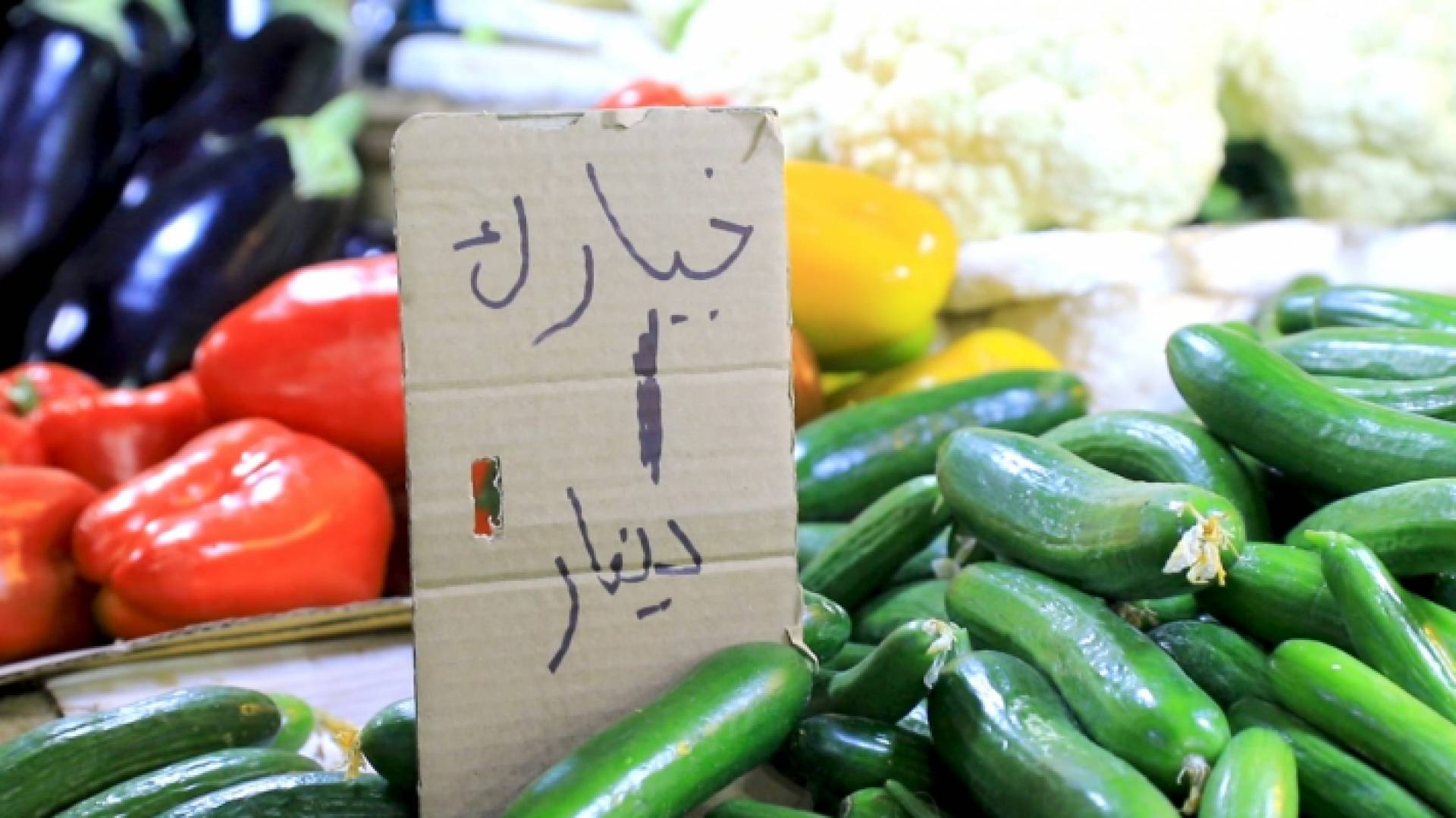 سعر كيلو الخيار في العاصمة عمان وصل إلى دينار
