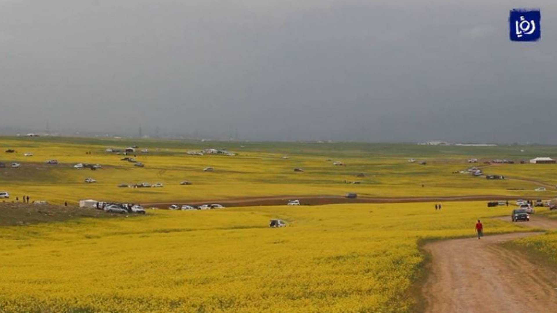 الصورة من ربيع بريقا