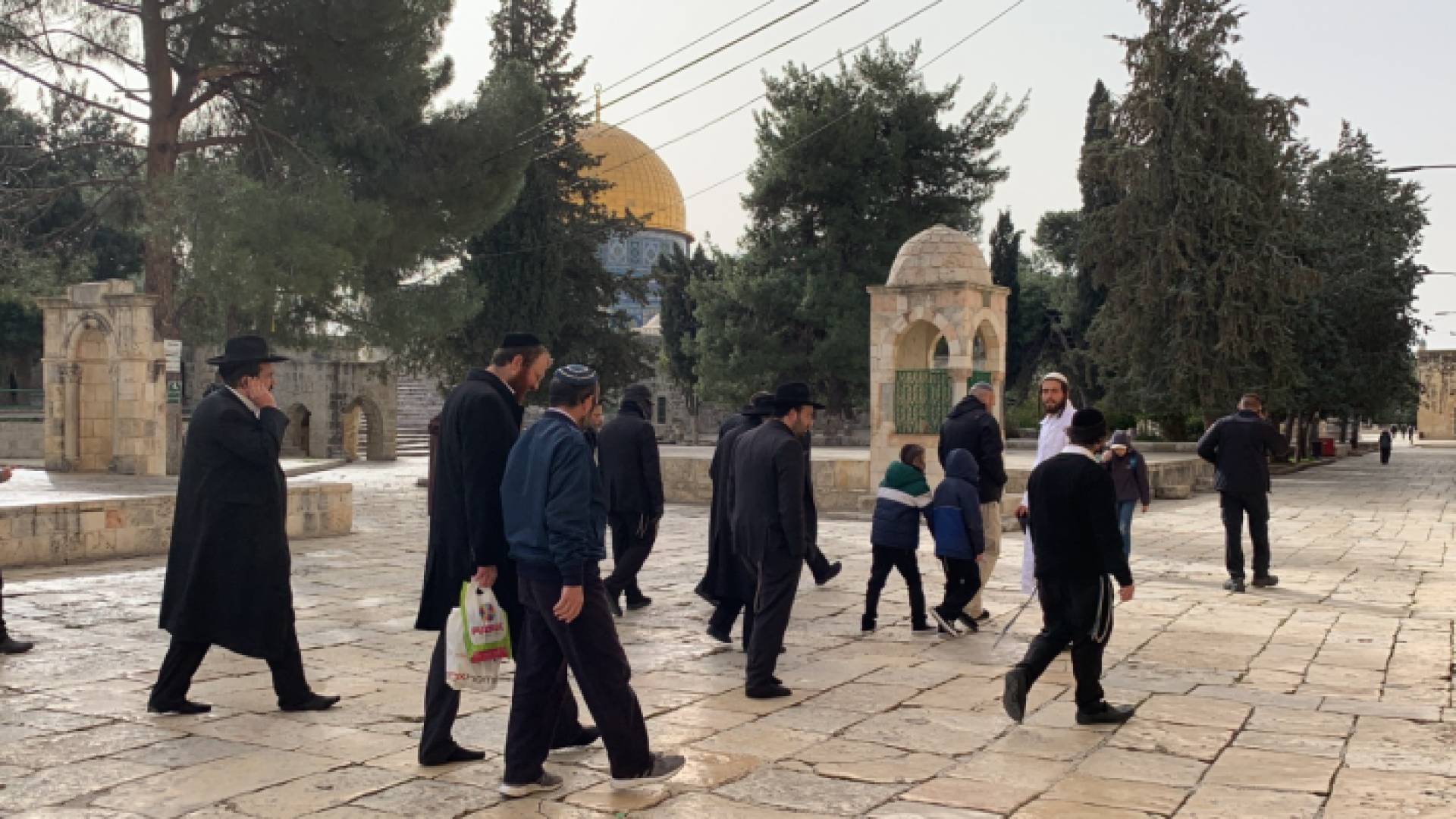 مستوطنون يقتحمون "الأقصى"