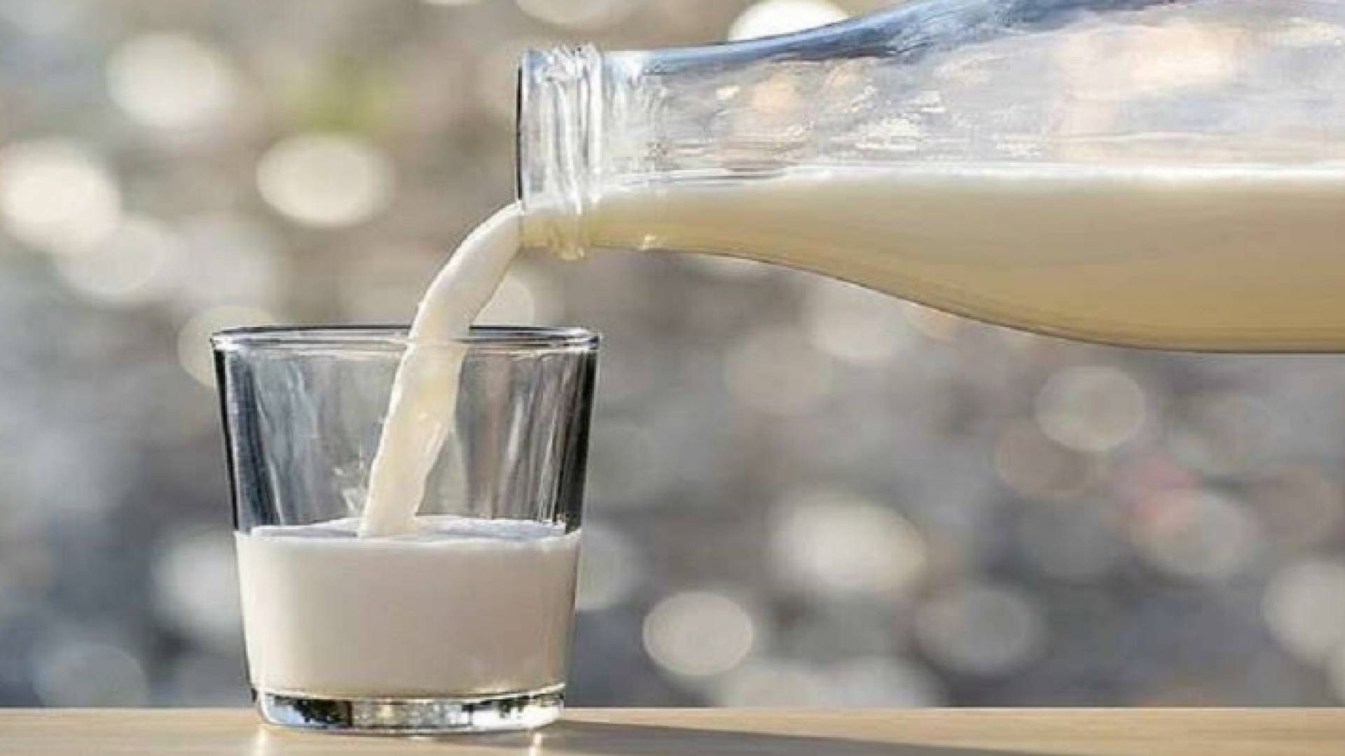 حليب