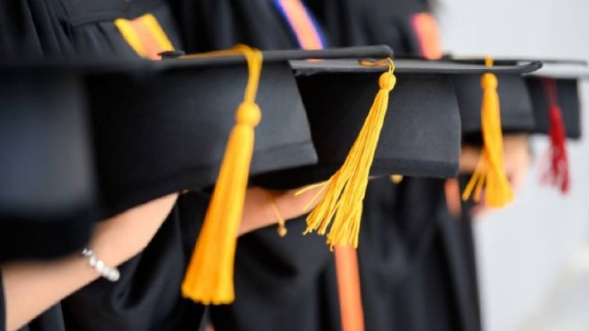 الفينيق للدراسات: 77% نسبة البطالة بين خريجي الجامعات في الأردن