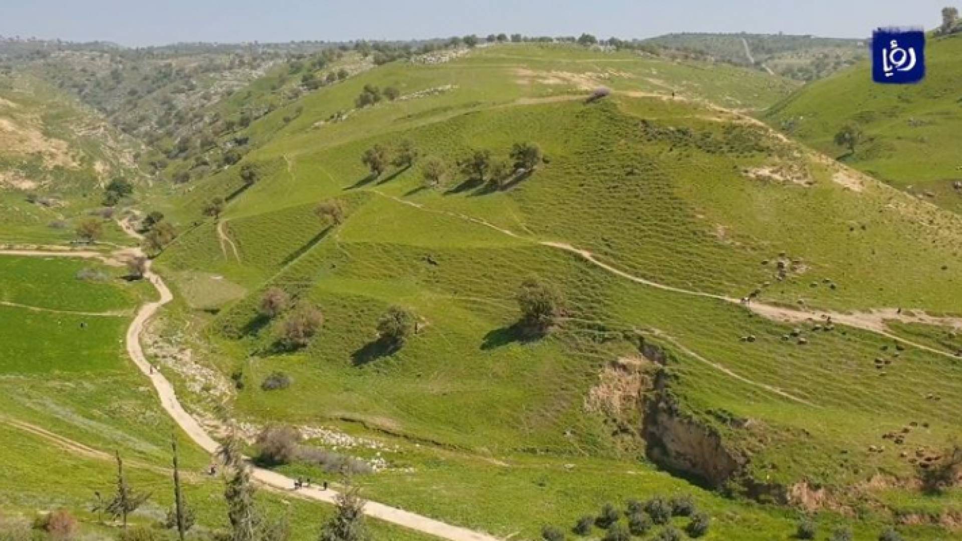 وادي أم النمل