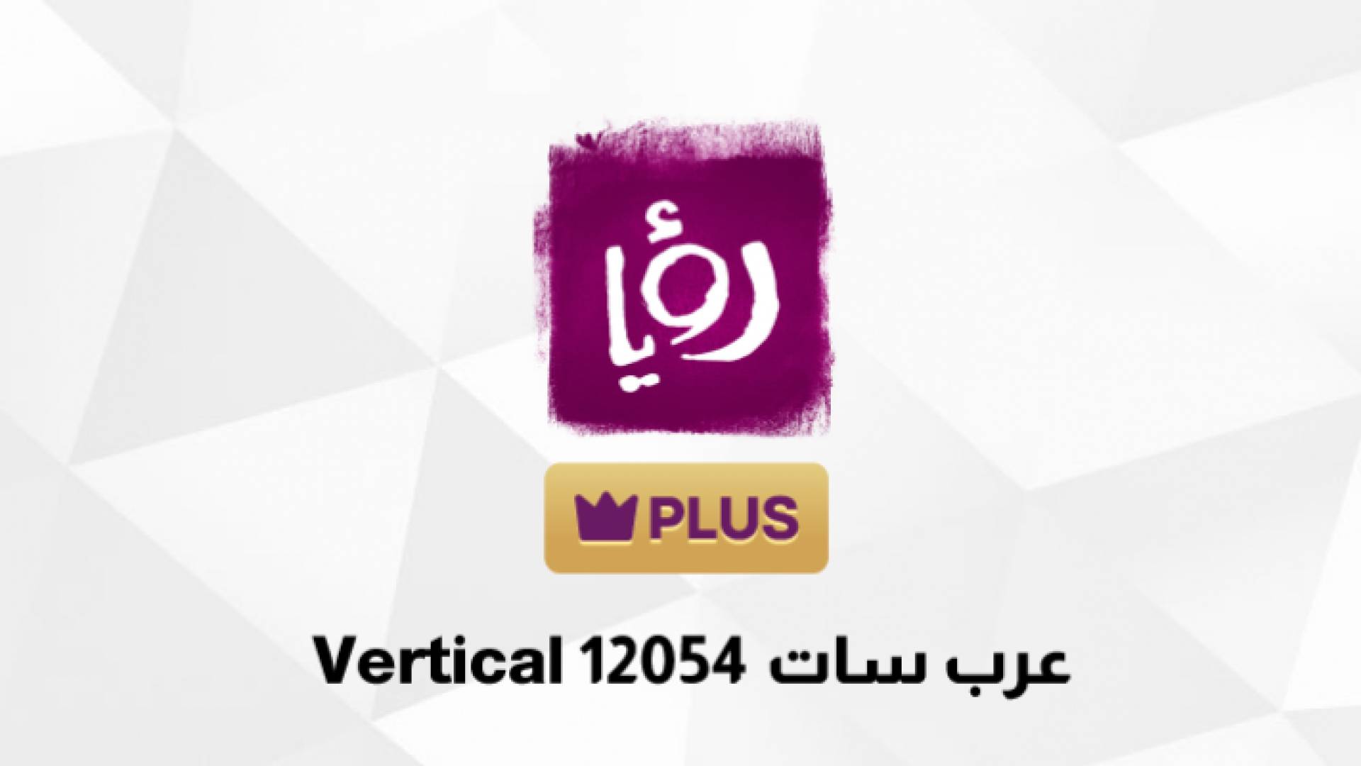 مجموعة رؤيا الإعلامية تطلق قناة "رؤيا بلس" على عرب سات