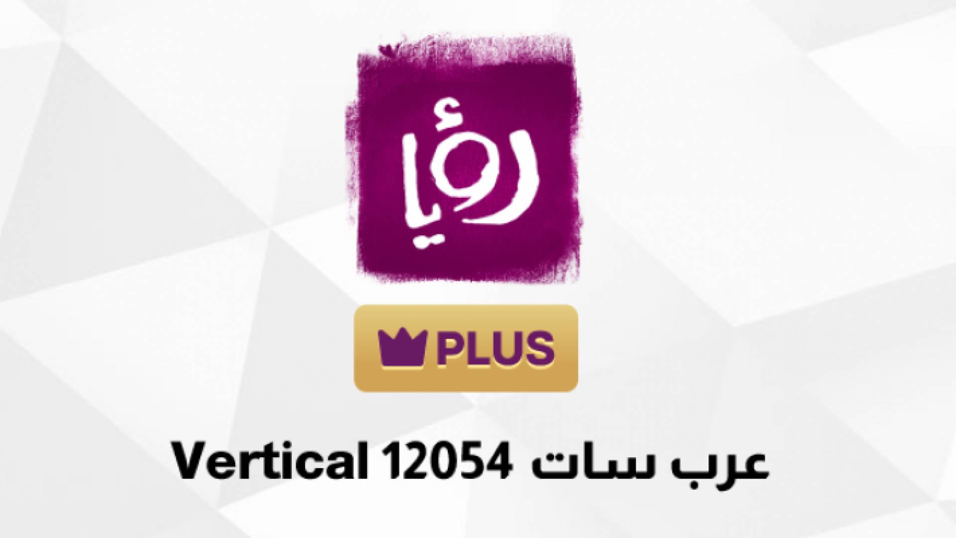 مجموعة رؤيا الإعلامية تطلق قناة رؤيا بلس على عربسات