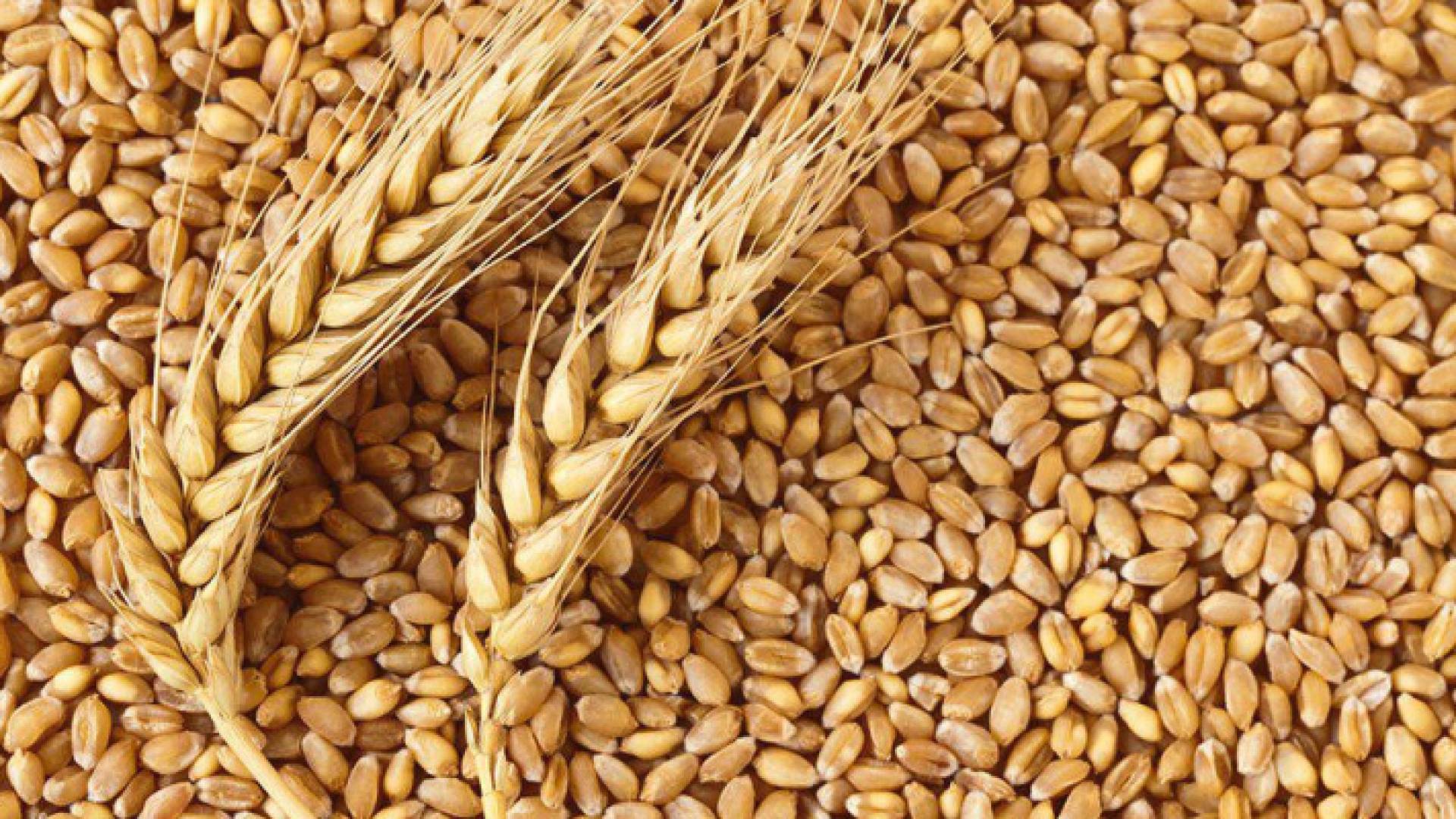 وزير الصناعة يبحث مع نظيره الروماني التعاون في مجالات الأمن الغذائي