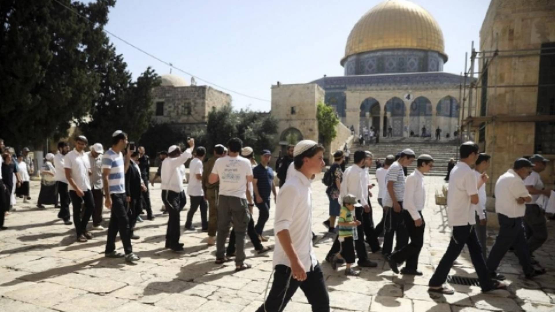مستوطنون يقتحمون "الأقصى"
