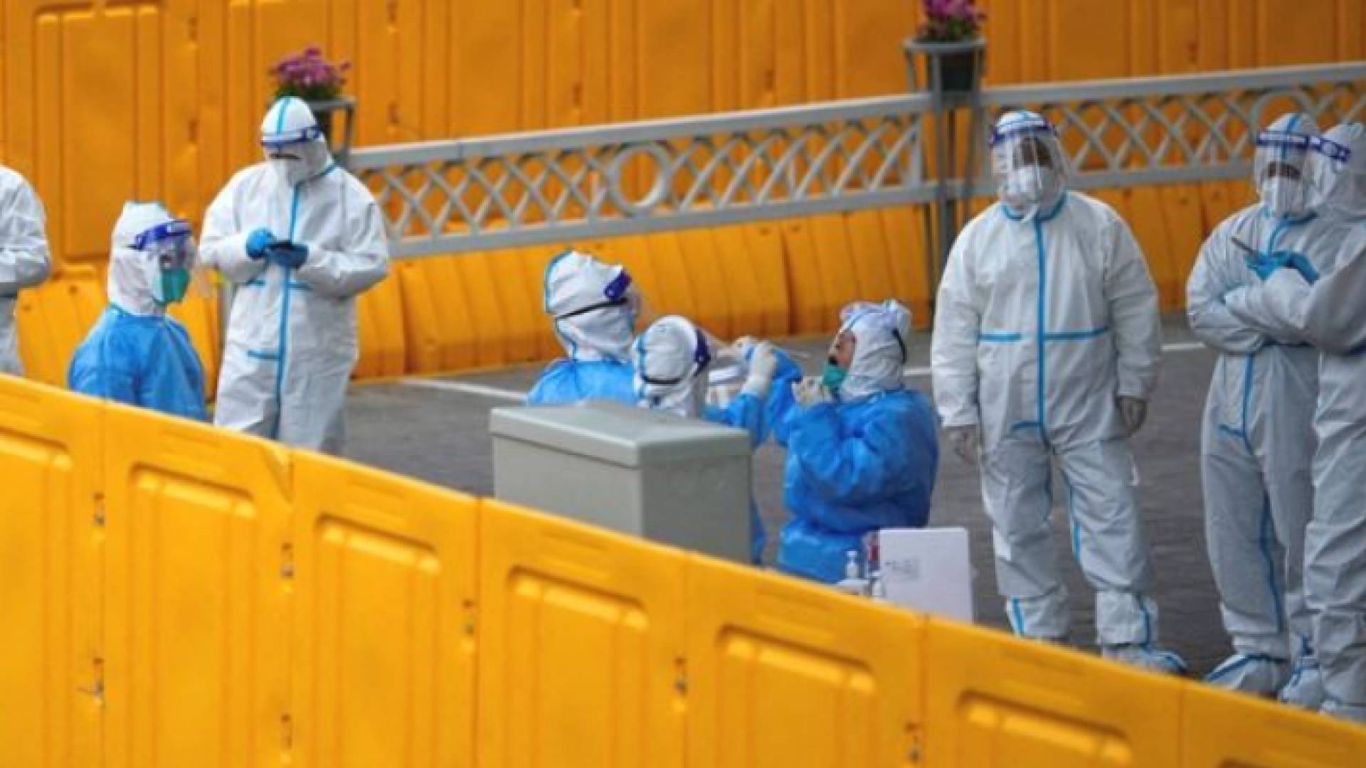 أوميكرون ينتشر في 12 مقاطعة