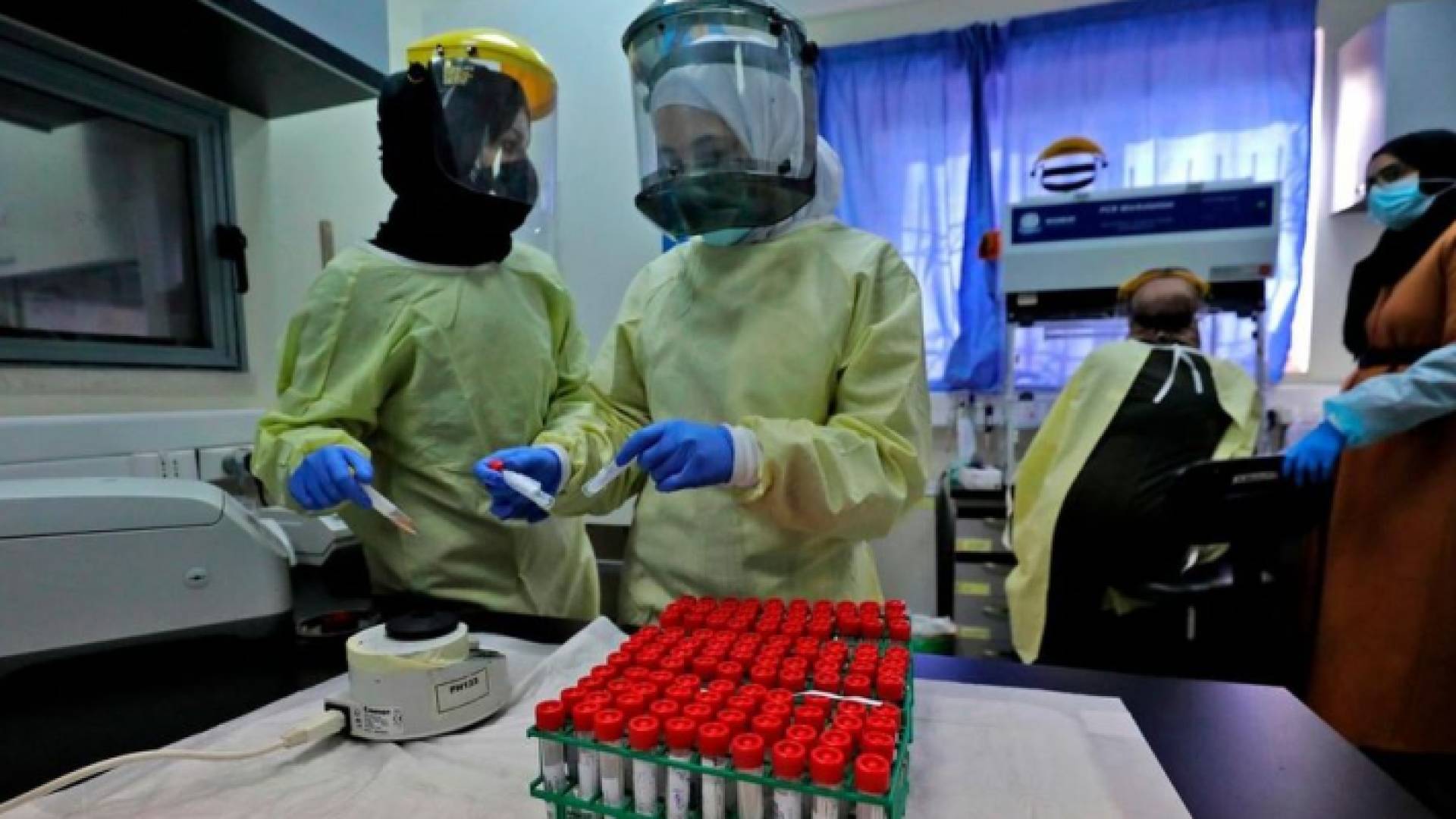 فحوص كورونا