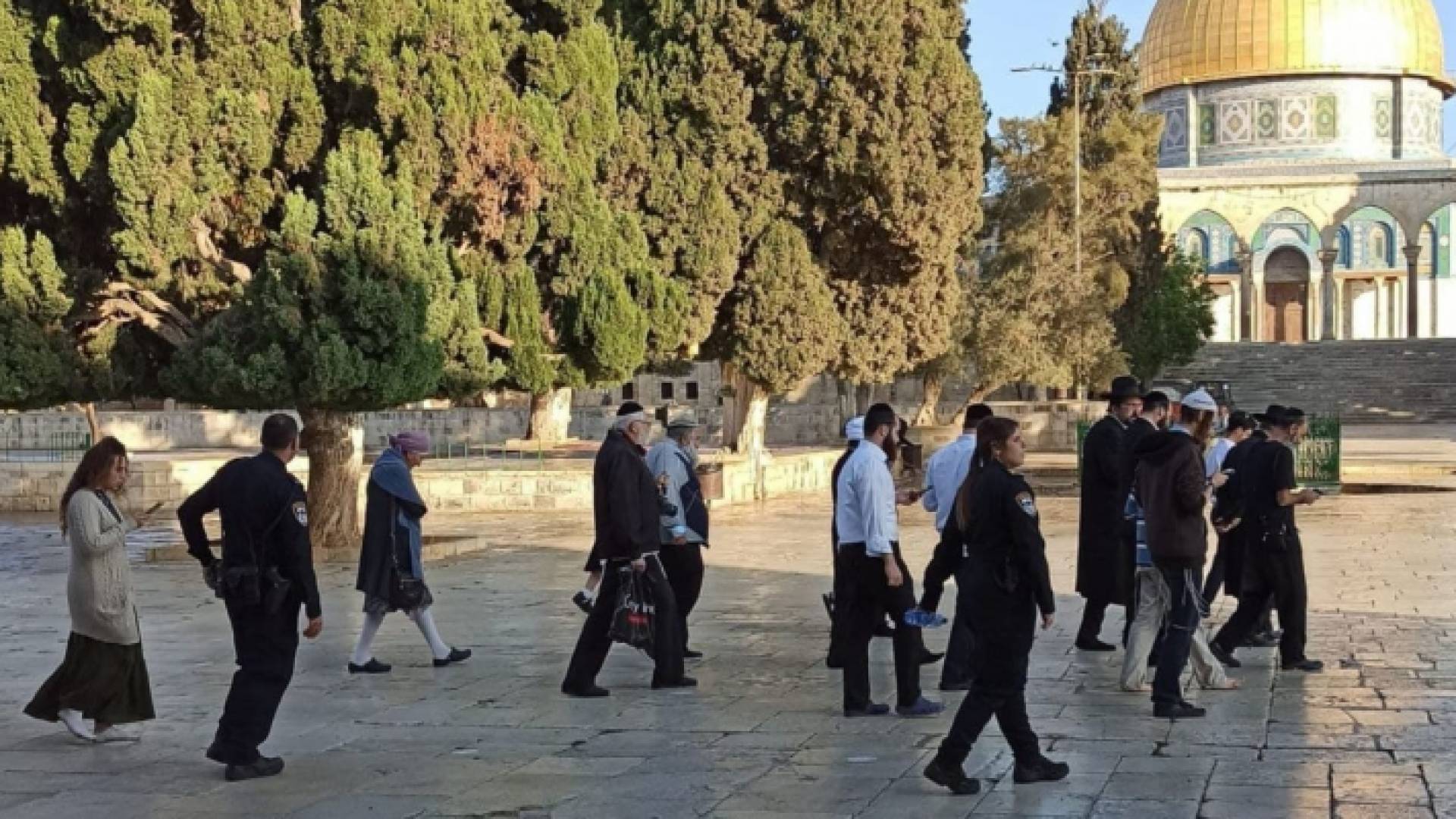 مستوطنون في المسجد الأقصى