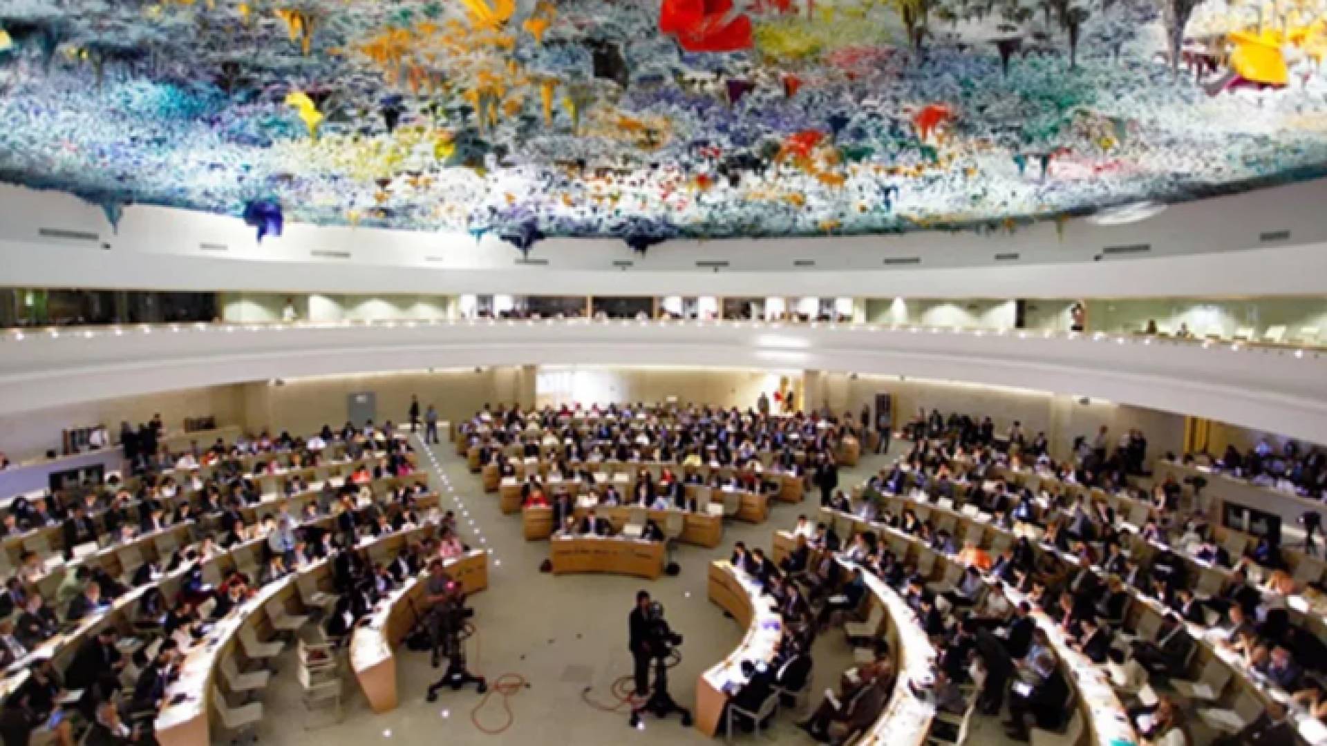 مجلس حقوق الإنسان