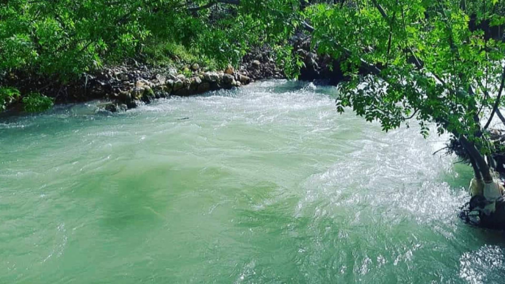 نهر بردى - ارشيفية