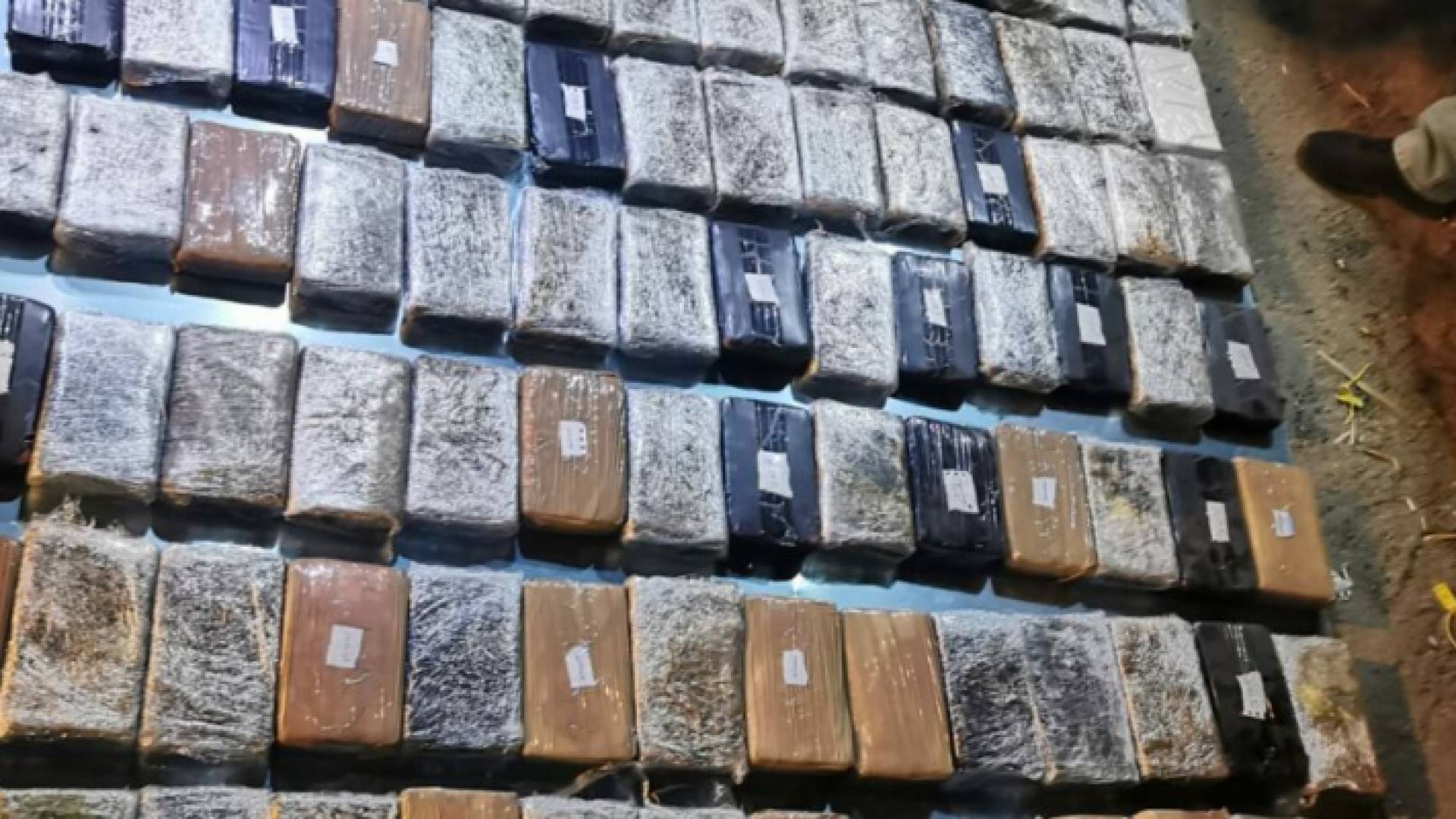 مادة الكوكايين المخدرة المضبوطة