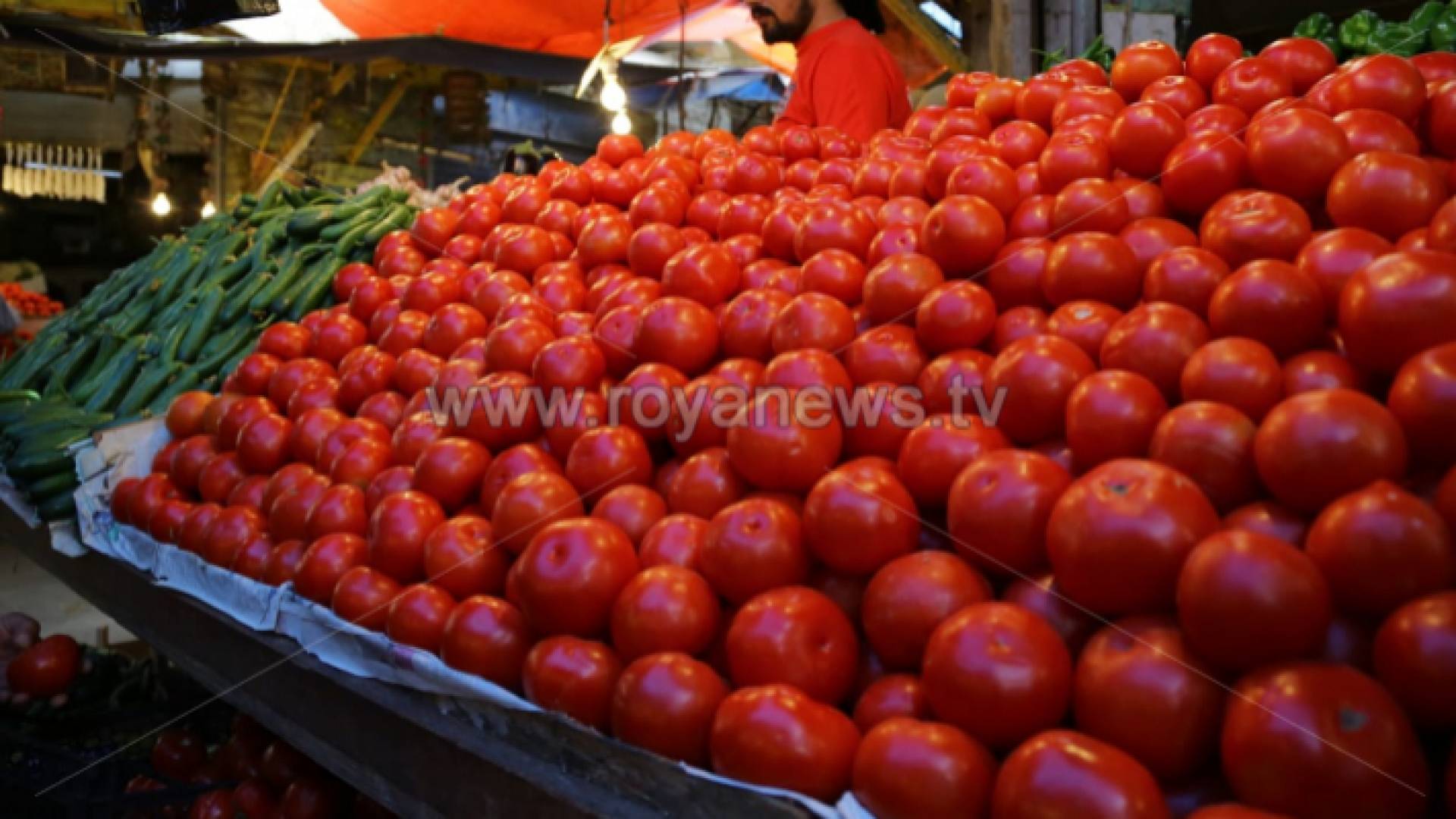 بندورة - ارشيفية