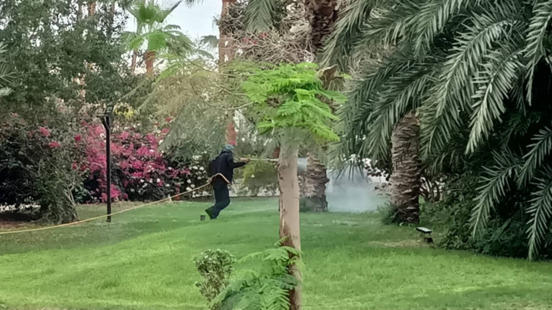 عامل يرش المبيدات لمكافحة الذباب المنزلي في وادي الأردن