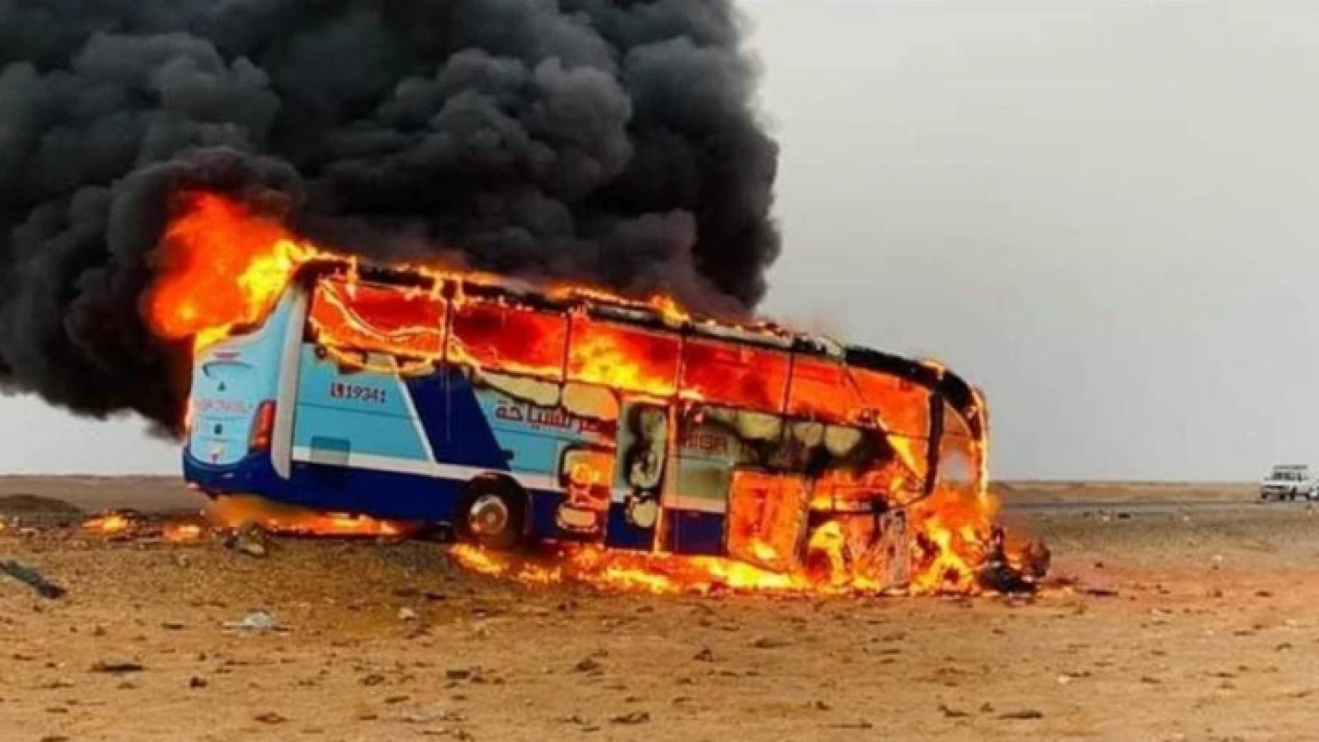 صورة للحافلة السياحية