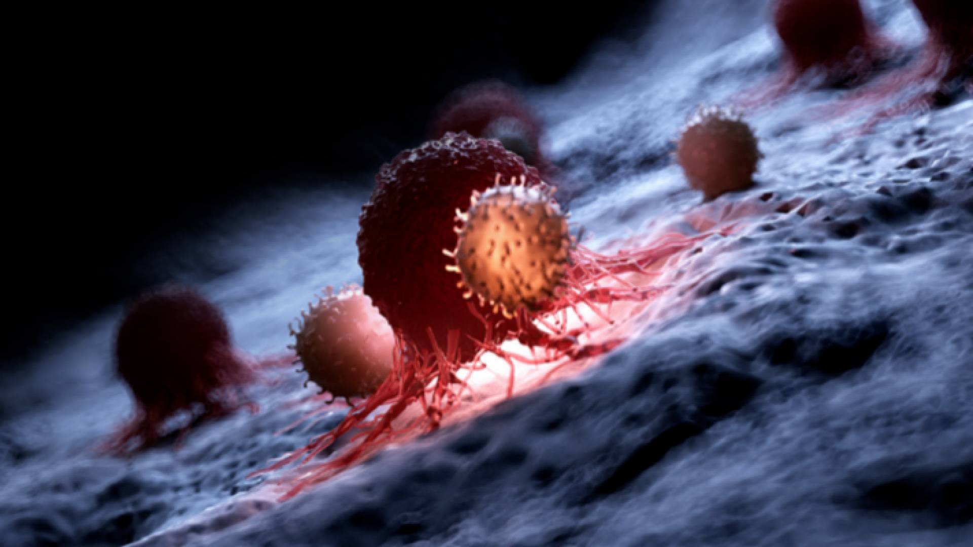 مقطع توضيحي للسرطان