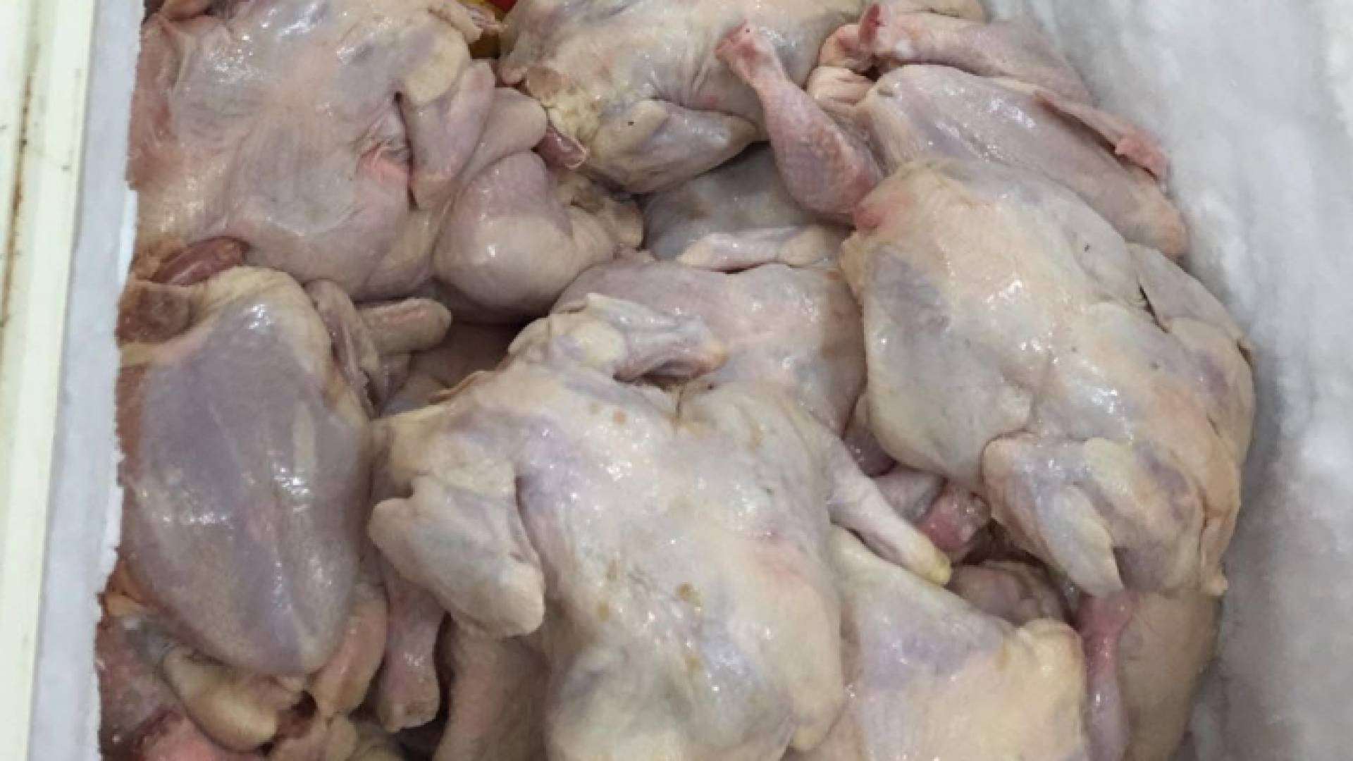 إتلاف دواجن